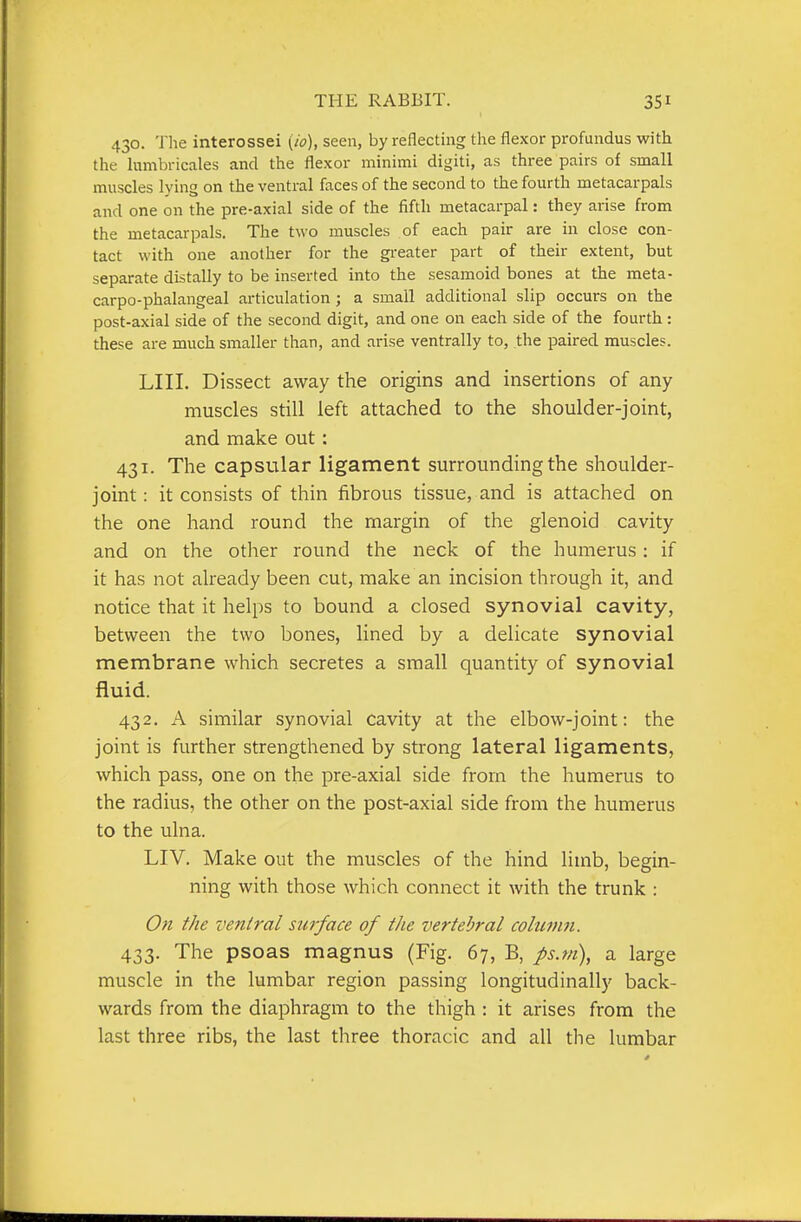 430. The interossei {io), seen, by reflecting the flexor profundus with the himbricales and the flexor minimi digiti, as three pairs of small muscles lying on the ventral faces of the second to the fourth metacarpals and one on the pre-axial side of the fifth metacarpal: they arise from the metacarpals. The two muscles of each pair are in close con- tact with one another for the greater part of their extent, but separate distally to be inserted into the sesamoid bones at the meta- carpo-phalangeal articulation; a small additional slip occurs on the post-axial side of the second digit, and one on each side of the fourth : these are much smaller than, and arise ventrally to, the paired muscles. LIII. Dissect away the origins and insertions of any muscles still left attached to the shoulder-joint, and make out: 431. The capsular ligament surrounding the shoulder- joint : it consists of thin fibrous tissue, and is attached on the one hand round the margin of the glenoid cavity and on the other round the neck of the humerus: if it has not already been cut, make an incision through it, and notice that it helps to bound a closed synovial cavity, between the two bones, lined by a delicate synovial membrane which secretes a small quantity of synovial fluid. 432. A similar synovial cavity at the elbow-joint: the joint is further strengthened by strong lateral ligaments, which pass, one on the pre-axial side from the humerus to the radius, the other on the post-axial side from the humerus to the ulna. LIV. Make out the muscles of the hind limb, begin- ning with those which connect it with the trunk : On the ventral surface of the vertebral cohcvin. 433. The psoas magnus (Fig. 67, B, ps.m), a large muscle in the lumbar region passing longitudinally back- wards from the diaphragm to the thigh : it arises from the last three ribs, the last three thoracic and all the lumbar