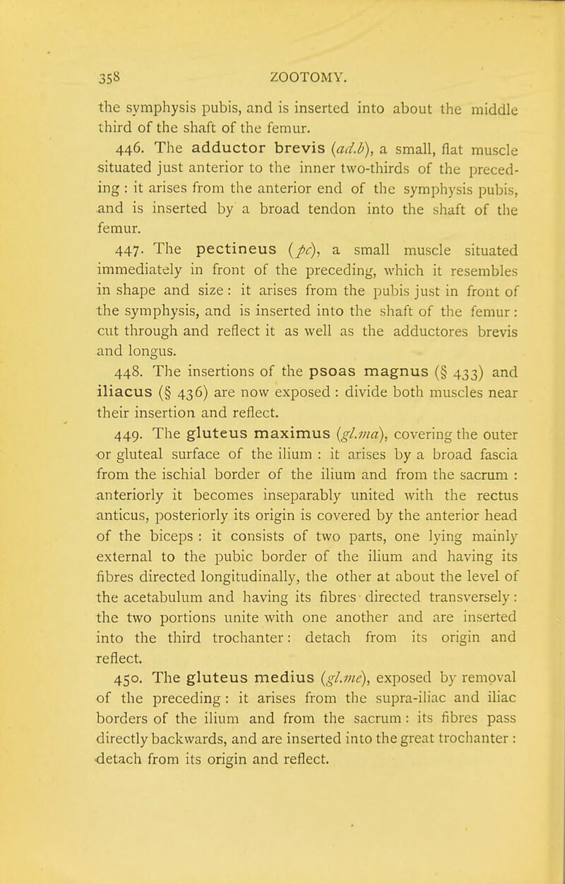 the symphysis pubis, and is inserted into about the middle third of the shaft of the femur. 446. The adductor brevis {ad.b), a small, flat muscle situated just anterior to the inner two-thirds of the preced- ing : it arises from the anterior end of the symphysis pubis, and is inserted by a broad tendon into the shaft of the femur. 447. The pectineus {pc), a small muscle situated immediately in front of the preceding, which it resembles in shape and size: it arises from the pubis just in front of the symphysis, and is inserted into the shaft of the femur: cut through and reflect it as well as the adductores brevis and longus. 448. The insertions of the psoas magnus (§ 433) and iliacus (§ 436) are now exposed : divide both muscles near their insertion and reflect. 449. The gluteus maximus {gl.ina), covering the outer ■or gluteal surface of the ilium : it arises by a broad fascia from the ischial border of the ilium and from the sacrum : anteriorly it becomes inseparably united with the rectus anticus, posteriorly its origin is covered by the anterior head of the biceps : it consists of two parts, one lying mainly external to the pubic border of the ilium and having its fibres directed longitudinally, the other at about the level of the acetabulum and having its fibres• directed transversely: the two portions unite with one another and are inserted into the third trochanter: detach from its origin and reflect. 450. The gluteus medius (gljne), exposed by removal of the preceding : it arises from the supra-iliac and iliac borders of the ilium and from the sacrum : its fibres pass directly backwards, and are inserted into the great trochanter : ■detach from its origin and reflect.