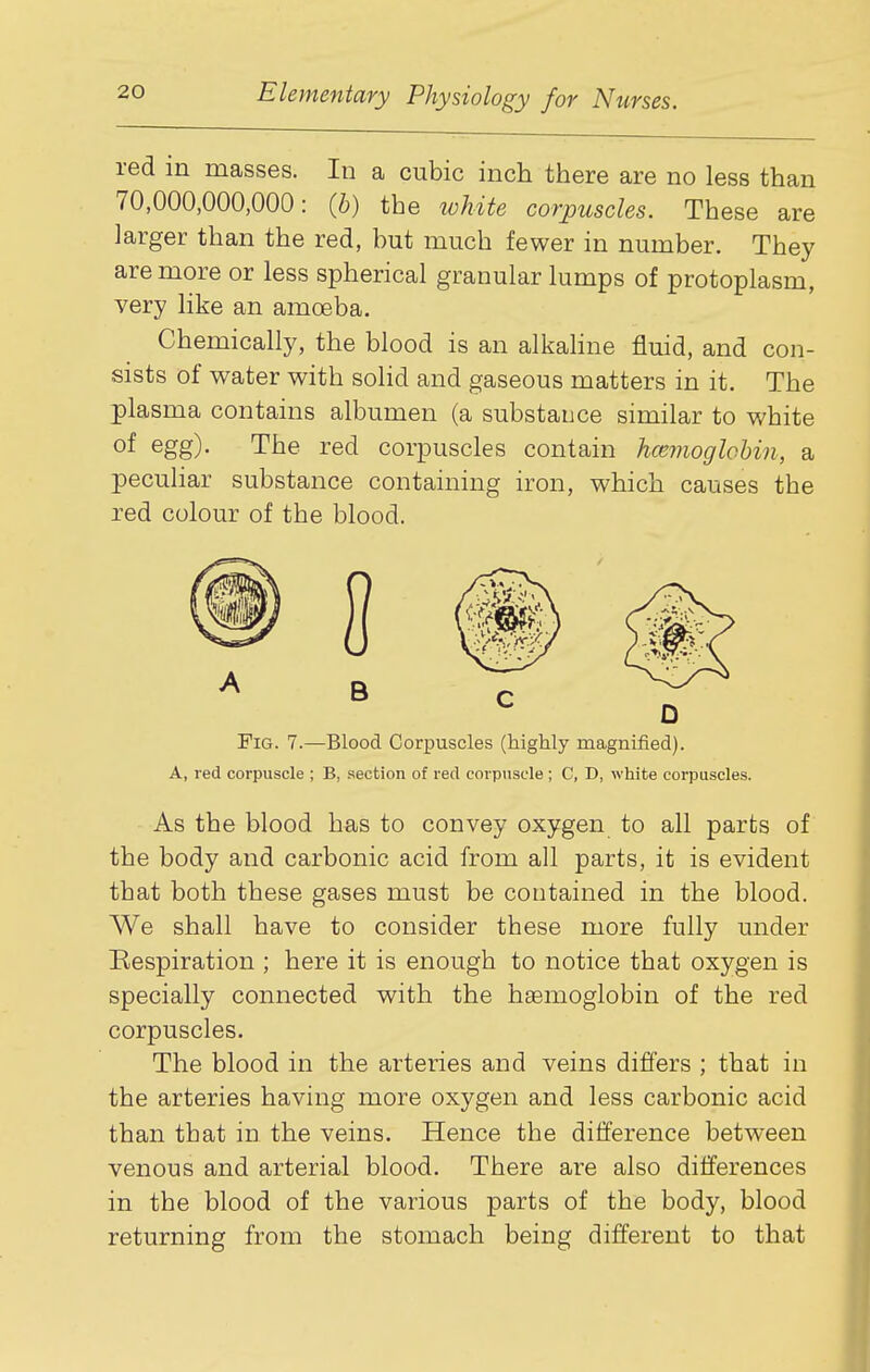 red in masses. In a cubic inch there are no less than 70,000,000,000: (6) the white corpuscles. These are larger than the red, hut much fewer in number. They are more or less spherical granular lumps of protoplasm, very like an amoeba. Chemically, the blood is an alkahne fluid, and con- sists of water with solid and gaseous matters in it. The plasma contains albumen (a substance similar to white of egg). The red corpuscles contain hcemoglohin, a peculiar substance containing iron, which causes the red colour of the blood. A B D Fig. 7.—Blood Corpuscles (highly magnified). A, red corpuscle ; B, section of red corpuscle ; C, D, white corpuscles. As the blood has to convey oxygen to all parts of the body and carbonic acid from all parts, it is evident that both these gases must be contained in the blood. We shall have to consider these more fully under Respiration ; here it is enough to notice that oxygen is specially connected with the haemoglobin of the red corpuscles. The blood in the arteries and veins differs ; that in the arteries having more oxygen and less carbonic acid than tbat in the veins. Hence the difference between venous and arterial blood. There are also differences in the blood of the various parts of the body, blood returning from the stomach being different to that