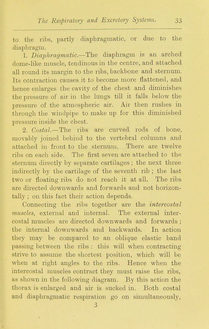 to the ribs, partly diaphragmatic, or due to the diaphragm. 1. Diaphragmatic.—The diaphragm is an arched dome-Hke muscle, tendinous in the centre, and attached all round its margin to the ribs, backbone and sternum. Its contraction causes it to become more flattened, and hence enlarges the cavity of the chest and diminishes the pressure of air in the lungs till it falls below the pressure of the atmospheric air. Air then rushes in through the windpipe to make up for this diminished pressure inside the chest. 2. Costal.—The ribs are curved rods of bone, movably joined behind to the vertebral columns and attached in- front to the sternum. There are twelve ribs on each side. The first seven are attached to the sternum directly by separate cartilages ; the next three indirectly by the cartilage of the seventh rib ; the last two or floating ribs do not reach it at all. The ribs are directed downwards and forwards and not horizon- tally ; on this fact their action depends. Connecting the ribs together are the intercostal muscles, external and internal. The external inter- costal muscles are directed downwards and forwards ; the internal downwards and backwards. In action they may be compared to an oblique elastic band passing between the ribs : this will when contracting strive to assume the shortest position, which will be when at right angles to the ribs. Hence when the intercostal muscles contract they must raise the ribs, as shown in the following diagram. By this action the thorax is enlarged and air is sucked in. Both costal and diaphragmatic respiration go on simultaneously, 3