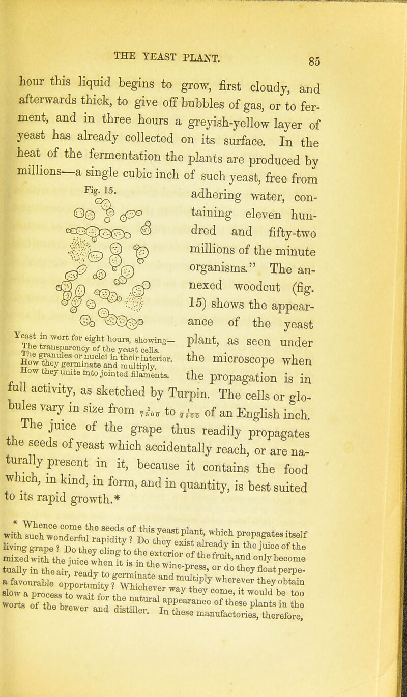 hour this liquid begins to grow, first cloudy, and afterwards thick, to give off bubbles of gas, or to fer- ment, and in three hours a greyish-yellow layer of yeast has already collected on its surface. In the heat of the fermentation the plants are produced by millions^a single cubic inch of such yeast, free from adhering water, con- taining eleven hun- dred and fifty-two millions of the minute organisms. The an- nexed woodcut (fig. 15) shows the appear- ance of the yeast Yeast in wort for eight hours, showing- plant, aS SBCn Under The transparency of the yeast cells. , . uuuei fol'^^^'.tZi^t^ii^^^^^ microscope when How theyunite into jointed filaments. the propagation is in full activity, as sketched by Turpin. The cells or glo- bules vary in size from to of an English inch. The juice of the grape thus readily propagates the seeds of yeast which accidentally reach, or are na- turally present in it, because it contains the food which, m kind, in form, and in quantity, is best suited to its rapid growth.* Hving gr<,ve 2 Bl^l^r ''l'^^'^ ^^^^^dy in the juice of the tually in the air read v to J . ^^°e-press, or do they float perpe- a favLaSe oppoS^^^^^^^^^ t^P^^ they obSn Blow a process to wSt W {T^^'f^'^' t^ey come, it would be too worts oVtrb r and dis^Sltr 1^^°^^ - ewer and distiDer. In these manufactories, therefore.