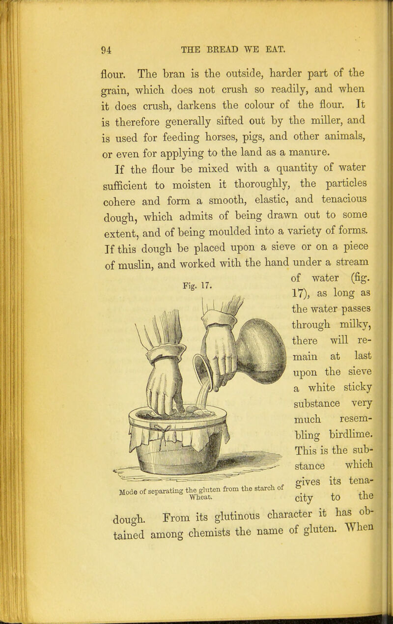 flour. The bran is the outside, harder part of the grain, which does not crush so readily, and when it does crush, darkens the colour of the flour. It is therefore generally sifted out by the miller, and is used for feeding horses, pigs, and other animals, or even for applying to the land as a manure. If the flour be mixed with a quantity of water sufficient to moisten it thoroughly, the particles cohere and form a smooth, elastic, and tenacious dough, which admits of being drawn out to some extent, and of being moulded into a variety of forms. If this dough be placed upon a sieve or on a piece of muslin, and worked with the hand under a stream of water (fig. Fig. 17. Mode of separating the gluten from the starch of Wheat. 17), as long as the water passes through milky, there will re- main at last upon the sieve a white sticky substance very much resem- bling birdlime. This is the sub- stance which gives its tena- city to the dough. From its glutinous character it has ob- tained among chemists the name of gluten. When