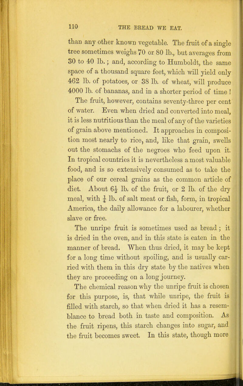 than any other known vegetable. The fruit of a single tree sometimes weighs 70 or 80 lb., but averages from 30 to 40 lb.; and, according to Humboldt, the same space of a thousand square feet, which will yield only 462 lb. of potatoes, or 88 lb. of wheat, will produce 4000 lb. of bananas, and in a shorter period of time ! The fruit, however, contains seventy-three per cent of water. Even when dried and converted into meal, it is less nutritious than the meal of any of the varieties of grain above mentioned. It approaches in composi- tion most nearly to rice, and, like that grain, swells out the stomachs of the negroes who feed upon it. In tropical countries it is nevertheless a most valuable food, and is so extensively consumed as to take the place of our cereal grains as the common article of diet. About 6|- lb. of the fruit, or 2 lb. of the dry meal, with ^ lb. of salt meat or fish, form, in tropical America, the daily allowance for a labourer, whether slave or free. The unripe fruit is sometimes used as bread ; it is dried in the oven, and in this state is eaten in the manner of bread. When thus dried, it may be kept for a long time without spoiling, and is usually car- ried with them in this dry state by the natives when they are proceeding on a long journey. The chemical reason why the unripe fruit is chosen for this purpose, is, that while unripe, the fruit is filled with starch, so that when dried it has a resem- blance to bread both in taste and composition. As the fruit ripens, this starch changes into sugar, and the fruit becomes sweet. In this state, though more
