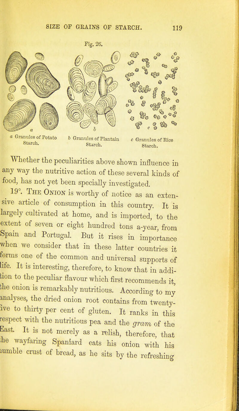 Fig. 26. a Granules of Potato Starch. (J) 1© (in 6 Granules of Plantain c Granules of Rice Starch. Starch. Whether the peculiarities above shown influence in any way the nutritive action of these several kinds of food, has not yet been specially investigated. ^ 19°. The Omon is worthy of notice as an exten- sive article of consumption in this country. It is largely cultivated at home, and is imported, to the extent of seven or eight hundred tons a-year, from Spain and Portugal. But it rises in importance when we consider that in these latter countries it forms one of the common and universal supports of life. It is interesting, therefore, to know that in addi- tion to the peculiar flavour which first recommends it, the onion is remarkably nutritious. According to my analyses, the dried onion root contains from twenty- ive to thirty per cent of gluten. It ranks in this respect with the nutritious pea and the gram of the East. It is not merely as a relish, therefore, that ;he wayfaring Spaniard eats his onion with his lumble crust of bread, as he sits by the refreshing