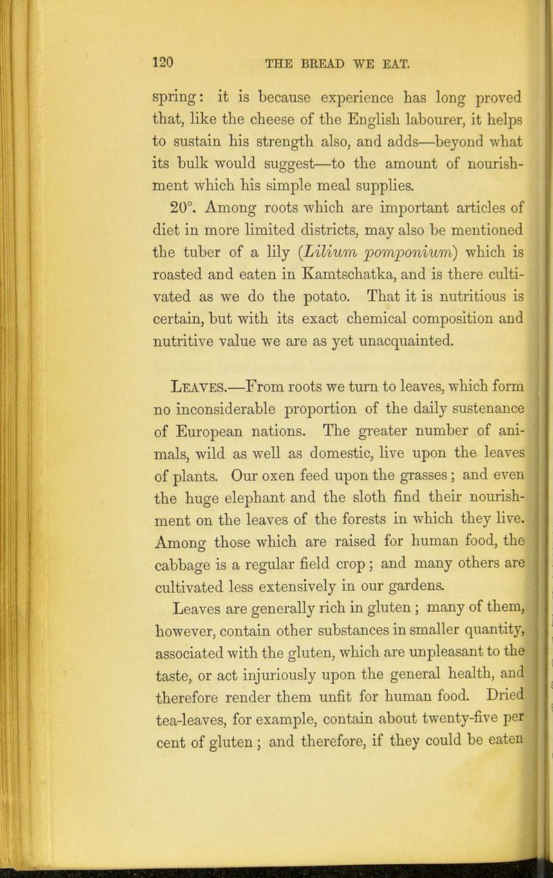 spring: it is because experience lias long proved that, like the cheese of the English labourer, it helps to sustain his strength also, and adds—beyond what its bulk would suggest—to the amount of nourish- ment which his simple meal supplies. 20°. Among roots which are important articles of diet in more limited districts, may also be mentioned the tuber of a lily (Lilium pomponium) which is roasted and eaten in Kamtschatka, and is there culti- vated as we do the potato. That it is nutritious is certain, but with its exact chemical composition and nutritive value we are as yet unacquainted. Leaves.—From roots we turn to leaves, which form no inconsiderable proportion of the daily sustenance of European nations. The greater number of ani- mals, wild as well as domestic, live upon the leaves of plants. Our oxen feed upon the grasses; and even the huge elephant and the sloth find their nourish- ment on the leaves of the forests in which they live. Among those which are raised for human food, the cabbage is a regular field crop ; and many others are cultivated less extensively in our gardens. Leaves are generally rich in gluten; many of them, however, contain other substances in smaller quantity, associated with the gluten, which are unpleasant to th taste, or act injuriously upon the general health, and therefore render them unfit for human food. Dried tea-leaves, for example, contain about twenty-five pe cent of gluten; and therefore, if they could be eaten