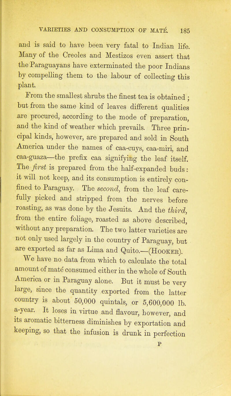 and is said to have been very fatal to Indian life. Many of the Creoles and Mestizos even assert that the Paraguayans have exterminated the poor Indians by compelling them to the labour of collecting this plant. From the smallest shrubs the finest tea is obtained ; but from the same kind of leaves different qualities are procured, according to the mode of preparation, and the kind of weather which prevails. Three prin- cipal kinds, however, are prepared and sold in South America under the names of caa-cuys, caa-miri, and caa-guaza—the prefix caa signifying the leaf itself. The first is prepared from the half-expanded buds : it will not keep, and its consumption is entirely con- fined to Paraguay. The second, from the leaf care- fully picked and stripped from the nerves before roasting, as was done by the Jesuits. And the third, from the entire foliage, roasted as above described, without any preparation. The two latter varieties are not only used largely in the country of Paraguay, but are exported as far as Lima and Quito.—(Hookee). We have no data from which to calculate the total amount of mat^ consumed either in the whole of South America or in Paraguay alone. But it must be very large, since the quantity exported from the latter country is about 50,000 quintals, or 5,600,000 lb. a-year. It loses in virtue and flavour, however, and its aromatic bitterness diminishes by exportation and keeping, so that the infusion is drunk in perfection P