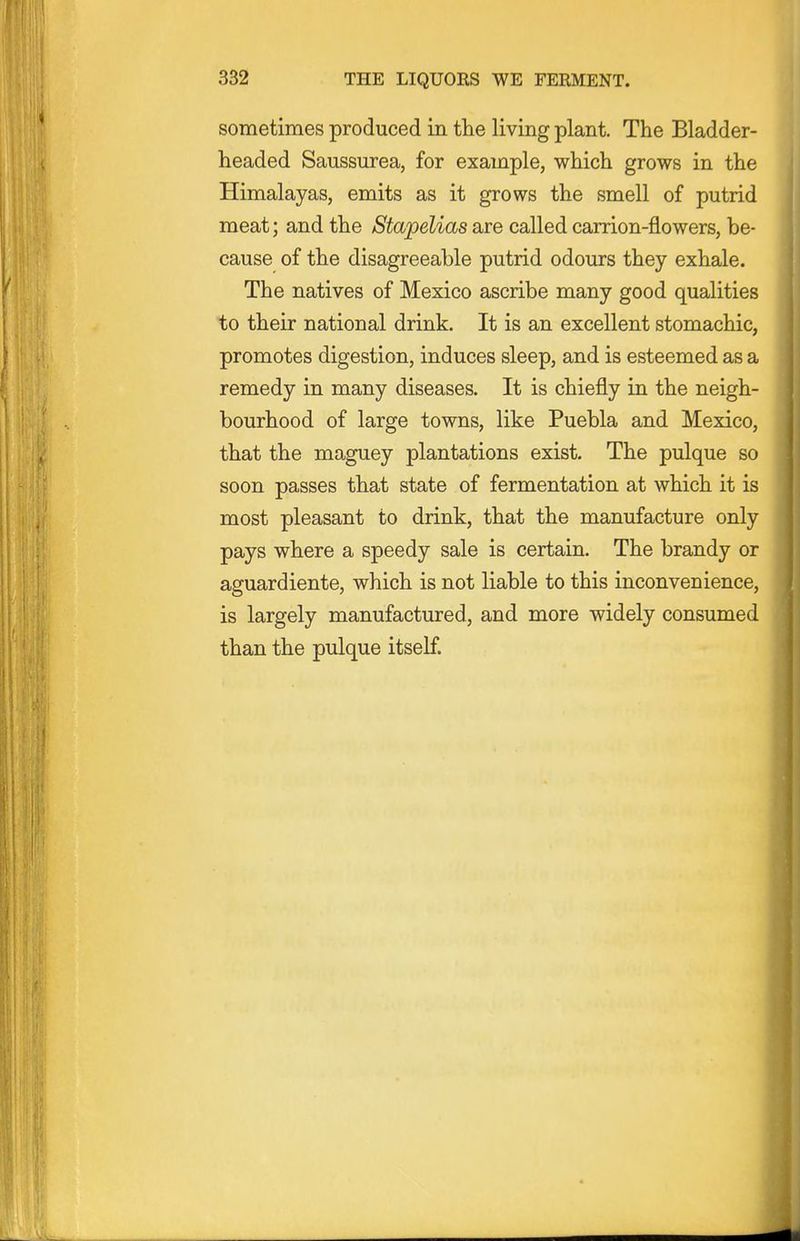sometimes produced in the living plant. The Bladder- headed Saussurea, for example, which grows in the Himalayas, emits as it grows the smell of putrid meat; and the Stapelias are called carrion-flowers, be- cause of the disagreeable putrid odours they exhale. The natives of Mexico ascribe many good qualities to their national drink. It is an excellent stomachic, promotes digestion, induces sleep, and is esteemed as a remedy in many diseases. It is chiefly in the neigh- bourhood of large towns, like Puebla and Mexico, that the maguey plantations exist. The pulque so soon passes that state of fermentation at which it is most pleasant to drink, that the manufacture only pays where a speedy sale is certain. The brandy or aguardiente, which is not liable to this inconvenience, is largely manufactured, and more widely consumed than the pulque itself.