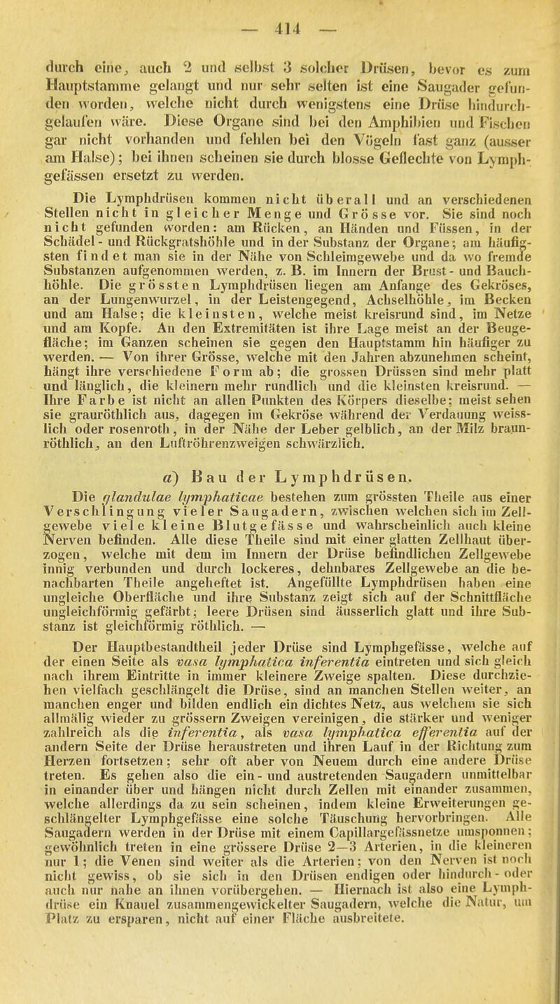 durch eine,, auch 2 und selbst 3 solcher Drüsen, bevor es zum Hauptstamnie gelangt und nur sehr selten ist eine Saugader ffel'un- den worden, welche nicht durch wenigstens eine Drüse hitidurch- gelauien wäre. Diese Organe sind bei den Amphibien und Fischen gar nicht vorhanden und fehlen hei den Vögeln last ganz (ausser am Halse); bei ihnen scheinen sie durch blosse Geflechte von Lymph- gefässen ersetzt zu werden. Die Lymphdrüsen kommen nicht überall und an verschiedenen Stellen nicht in gleicher Menge und Grösse vor. Sie sind noch nicht gefunden worden: am Rücken, an Händen und Füssen, in der Schädel - und Rückgratshöhle und in der Substanz der Organe; am häufig- sten findet man sie in der Nähe von Schleimgewebe und da wo fremde Substanzen aufgenommen werden, z. B. im Innern der Brust - und Bauch- höhle. Die grössten Lymphdrüsen liegen am Anfange des Gekröses, an der Lungenwurzel, in der Leistengegend, Achselhöhle, im Becken und am Halse; die kleinsten, welche meist kreisrund sind, im Netze und am Kopfe. An den Extremitäten ist ihre Lage meist an der Beuge- fläche; im Ganzen scheinen sie gegen den Hauptstamm hin häufiger zu werden. — Von ihrer Grösse, welche mit den Jahren abzunehmen scheint, hängt ihre versrhiedcne Form ab; die grossen Drüssen sind mehr platt und länglich, die kleinern mehr rundlich und die kleinsten kreisrund. — Ihre Farbe ist nicht an allen Punkten des Körpers dieselbe: meist sehen sie grauröthlich aus, dagegen im Gela'öse während der Verdauung weiss- lich oder rosenroth, in der Nähe der Leber gelblich, an der 3Iilz braun- röthlichj, an den Luftröhrenzweigen schwärzüch. d) Bau der Lymphdrüsen. Die nlandulae lyntphaticae bestehen zum grössten Theile aus einer Verschlingung vieler Saugadern, zwischen welchen sich im Zell- gewebe viele kleine Blutgefässe und wahrscheinlich auch kleine Nerven befinden. Alle diese Theile sind mit einer glatten Zellhaut über- zogen , welche mit dem im Innern der Drüse befindlichen Zellgewebe innig verbunden und durch lockeres, dehnbares Zellgewebe an die be- nachbarten Theile angeheftet ist. Angefüllte Lymphdrüsen haben eine ungleiche Oberfläche und ihre Substanz zeigt sich auf der Schnittfläche ungleichförmig gefärbt; leere Drüsen sind äusserlich glatt und ihre Sub- stanz ist gleichförmig röthlich. — Der Hauptbestandtheil jeder Drüse sind Lymphgefässe, welche auf der einen Seite als uav« lymphatica inferentia eintreten und sich gleich nach ihrem Eintritte in immer kleinere Zweige spalten. Diese durchzie- hen vielfach geschlängelt die Drüse, sind an manchen Stellen Aveiter, an manchen enger und bilden endlich ein dichtes Netz, aus welchem sie sich allmälig wieder zu grössern Zweigen vereinigen, die stärker und weniger zahlreich als die inferentia, als vasa h/mphatica efferentia auf der andern Seite der Drüse heraustreten und ihren Lauf in der Richtung zum Herzen fortsetzen; sehr oft aber von Neuem durch eine andere Drüse treten. Es gehen also die ein-und austretenden Saugadern unmittelbar in einander über und hängen nicht durch Zellen mit einander zusammen, welche allerdings da zu sein scheinen, indem kleine Erweiterungen ge- scblängelter Lymphgefilsse eine solche Täuschung hervorbringen. Alle vSaugaäern werden in der Drüse mit einem Capillargefässnetze umsponnen: gewöhnlich treten in eine grössere Drüse 2—3 Arterien, in die kleineren nur 1; die Venen sind weiter als die Arterien; von den Nerven ist noch nicht gewiss, ob sie sich in den Drüsen endigen oder hindurch - oder auch nur nahe an ihnen vorübergehen. — Hiernach ist also eine Lymph- drüse ein Knäuel zusammengewickelter Saugadern, welche die Natur, um Platz zu ersparen, nicht auf einer Fläche ausbreitete.