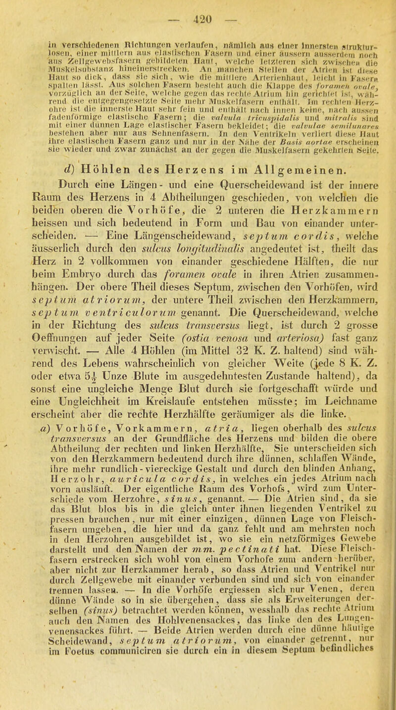 in verschiedenen nichtungen verlaufen, nämlich aus einer Innersten »Iruktur- losen, einer niillloin aus elaslischen Fasern und einer äussern ausserdem norh 'aus Zellfjewelisfiisern Kebildelen Hanl, welche lel//leren sich zwischen die Muskelsubslan/i Iiineinerslreelten. An manchen Stellen der Atrien ist dii;se Haut so dick, dass sie sich, wie die mittlere Arterienhaut, leicht in Fasern spalten lasst. Aus solchen Fasern besteht auch die Klappe des lorameu ouate. vorzüglich an der Seile, welclie KeK<;n das rechte Atrium hin gerichtet ist, w ah- rend die entgegengesetzte Seite mehr Muskelfasern enthalt. Im rechten Herz- ohre ist die innerste Haut sehr fein und eiilhalt nach innen keine, nach aussen fadenförmige elastische Fasern; die valvula tricuspiJalis und mitralis sind mit einer dünnen Lage elastischer Fasern bekleidet; die valvulae seniilunares bestehen aber nur aus Sehnenfasern. In den Ventrikeln verliert diese Haut ihre elastischen Fasern ganz und nur in der Nähe der Basis aoriae erscheinen sie wieder und zwar zunächst an der gegen die flluskelfaseni gekehrten Seile. d) Höhlen des Herzens im Allgemeinen. Durch eine Längen- und eine Querscheidewand ist der innere Raum des Herzens in 4 Abtheilungen geschieden, von welchen die beidfen oberen die Vor hüte, die 2 unteren die Herzkammern heissen und sich bedeutend in Form und Bau von einander unter- scheiden. —■ Eine Längenscheidewand, septu77i cordis, welche äusserlich durch den sidcus longitiidinaUs angedeutet ist, theilt das Herz in 2 vollkommen von einander geschiedene Hälften, die nur beim Embryo durch das foramen ovale in ihren Atrien zusammen- hängen. Der obere Theil dieses Se2)tum, zwischen den Vorhuten, wird sept 11711 atrioTum, der untere Theil zwischen den Herzkammern, septum V entriculorum genannt. Die Querscheidewand, welche in der Richtimg des sidcus transversus liegt, ist durch 2 gros.se Oeffnungen auf jeder Seite (ostia venosa und m^teinosa) fast ganz verwischt. — Alle 4 Höhlen (im Mittel 32 K. Z. haltend) sind wäh- rend des Lebens wahrscheinlich von gleicher Weite (jede 8 K. Z. oder etwa 54^ Unze Blute im ausgedehntesten Zustande haltend), da sonst eine ungleiche Menge Blut durch sie fortgeschafft würde und eine Ungleichheit im Kreislaufe entstehen müsste; im Leichname erscheint aber die rechte Herzhälfte geräumiger als die linke. a) Vorhöfe, Vorkammern, atria, liegen oberhalb des sulms transversus an der Grundfläche des Herzens und bilden die obere Abtheilung der rechten und linken Herzhälfte, Sie unterscheiden .sich von den Herzkammern bedeutend durch ihre dünnen, schlalfen Wände, ihre mehr rundlich-viereckige Gestalt und durch den blinden Anhang, Herzohr, auricula cordis, in welches ein jedes Atrium nach vorn ausläuft. Der eigentliche Raum des Vorhofs, wird zum Unter- schiede vom Heizohre, sinus, genannt.— Die Atrien sind, da sie das Blut blos bis in die gleich unter ihnen liegenden Ventrikel zu pressen brauchen, nur mit einer einzigen, dünnen Lage von Fleisch- fasern umgeben, die hier und da ganz fehlt und am inehrsten noch in den Herzohren ausgebildet ist, wo sie ein netzförmiges Gewebe darstellt imd den Namen Aev mm. pe ctinati hat. Diese Fleiscli- fasern erstrecken sich wohl von einem Vorhofe zum andern herüber, aber nicht zur Herzkammer herab, so dass Atrien und Ventrikel nur durch Zellgewebe mit einander verbunden sind und sicli von einander trennen lasse». — In die Vorhöfe ergiessen sich nur Venen, deren dünne Wände so in sie übergehen, ^ass sie als Erweiterungen der- selben (sinus) betrachtet werden können, wesshalb das rechte Atriinn auch den Namen des Hohlvenensackes, das linke den des Liingen- venensackes führt. — Beide Atrien werden durch eine dünne häutige Scheidewand, sep tum a triorum., von einander gefrenut^, nur im Foetus comrauniciren sie durch ein in diesem Septum belinduches