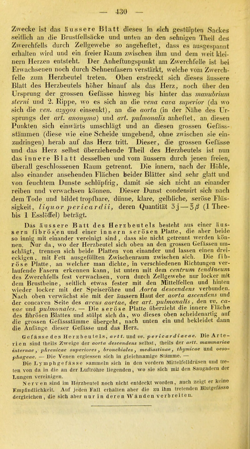 Zwecke ist das äussere Blatt dieses in sich gestülpten Sackes seitlich an die Biustrellsäcke und unten an den sehnigen Theil des Zwerchfells durch Zellgewebe so angeheftet, dass es ausgespanrit erhalten wird und ein freier Raum zwischen ihm und dem weit klei- nern Herzen entsteht. Der Anheftungspunkt am Zwerchfelle ist bei Erwachsenen noch durch Sehnenfasern verstärkt, welche vom Zwerch- felle zum Herzbeutel treten. Oben erstreckt sich dieses äussere Blatt des Herzbeutels höher hinauf als das Herz, noch über den Ursprung der grossen Gefässe hinweg bis hinter das manubrium sterni und 2. Rippe, wo es sich an die vena cava superior (da wo sich die ve?i. azyrjos einsenkt), an die aorta (in der Nähe des Ur- sprungs der art. anonyma) und art. pulmonalis anheftet, an diesen Punkten sich einwärts umschlägt und an diesen grossen Gefäss- stämmen (diese wie eine Scheide umgebend, ohne zwischen sie ein- zudringen) herab auf das Herz tritt. Dieser, die grossen Gefässe und das Herz selbst überziehende Theil des Herzbeutels ist nun das innere Blatt desselben und vom äussern durch jenen freien, überall geschlossenen Raum getrennt. Die innern, nach der Höhle, also einander ansehenden Flächen beider Blätter sind sehr glatt und von feuchtem Dunste schlüpfrig, damit sie sich nicht an einander reiben nnd verwachsen können. Dieser Dunst condensirt sich nach dem Tode und bildet tropfbare, dünne, klare, gelbliche, seröse Flüs- sigkeit, liquor pericardii, deren Quantität 5j — oß (1 Thee- bis 1 Esslöffel) beträgt. Das äussere Batt des Herzbeutels besteht aus einer äus- sern fibrös^len und einer innern serösen Platte, die aber beide so innig mit einander vereinigt sind, dass sie nicht getrennt \yerden kön- nen. Nur da, wo der Herzbeutel sich oben an den grossen Gelassen um- schlägt, trennen sich beide Platten von einander und lassen einen drei- eckigen, mit Fett ausgefüllten Zwischenraum zwischen sich. Die fib- röse Platte, an welcher man dichte, in verschiedenen Richtungen ver- laufende Fasern erkennen kann, ist unten mit dem centrum tendineum des Zwerchfells fest verwachsen, vorn durch Zellgewebe nur locker mit dem Brustbeine, seitlich etwas fester mit den Mittelfellen und hinten wieder locker mit der Speiseröhre und Aorta descendens verbunden. Nach oben verwächst sie mit der äussern Haut der aorta ascendens und der concaven Seite des arcus aortae, der art. pulmonalis, den vv. ca- vae und pulmonales. — Die seröse Platte überzieht die innere Fläche des fibrösen Blattes und stülpt sich da, wo dieses oben scheidenartig auf die grossen Gefässstämme übergeht, nach unten ein und bekleidet dann die Anfänge dieser Gefässe und das Herz. Gefässe des Herzbeutels, artt. und vv. pericardiacae. Die Arle- rien sind Iheils Zweige der aorta descendens selbst, Iheils der artt. mammariae iniernae f phrenicae superiores, bronchiales j mediastinae, thymicae und oeso- phageae. — Die Venen ergiessen sich in gleichnamige Stämme. — Die Lymphgefässe sammeln sich in den vordem Miltelfelldrüsen und tre- ten von da in die an der Lu/tröhie liegenden, wo sie sich mü den Saugadern der Lungen vereinigen. Nerven sind im Hörzbeutel noch nicht entdeckt worden, auch zeigt er kerne Empfindlichkeit. Auf jeden Fall erhalten aber die zu ihm tretenden Blutgefässe dergleichen, die sicli aber nur in deren Wänden verbreiten.