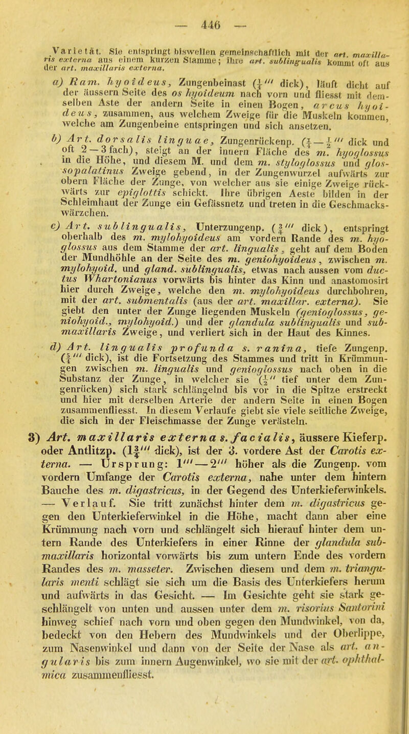 Varietät. Slo ojilspiiiigt biswellen gemelnwcliaflllch mit der ort maxilla- rts externa aus einem kurnen Stamme; ilue art. suöliitg-ualis kommt oft aus der art. tnaxillaris externa. a) Ram. hyoideus, Zungenbeinast (|' dick), läuft dicht auf der äussern Seite des os hyoideum nach vorn und fliegst mit dem- seiben Aste der andern Seite in einen Bogen, arcus hyoi- deus, zusammen, aus welchem Zweige für die Musiieln kommen welche am Zungenbeine entspringen und sich ansetzen. ' b) Art. dorsalis linguae, Zungenrückenp. (^—}^< dick und • ? ^^^^^' Innern Fläche des m. hyoqlossuH in die Hohe, und diesem M. und dem m. sti/lof/lossus und ylos- .sopalatinus Zweige gebend, in der Zungehwiirzel aufwärts zur obern Fläche der Zunge, von welcher aus sie einige Zweige rück- wärts zur epiglottis schickt. Ihre übrigen Aeste bilden in der Schleimhaut der Zunge ein Gefässnetz und treten in die Geschmacks- wärzchen. c) Art. subungualis, Unterzungenp. (|' dick), entspringt oberhalb des m. mylohyoideus am vordem Rande des m. hyo- glossus aus dem Stamme der art. lingualis, geht auf dein Boden der Mundhöhle an der Seite des m. geniohyoideus, zwischen m. mylohyoid. und gland. subungualis, etwas nach aussen vom duc- tus Whartonianus vorwärts bis hinter das Kinn und anastomosirt liier durch Zweige, welche den m. mylohyoideus durchbohren, mit der art. suhmentalis (aus der art. maxillar. externa). Sie giebt den unter der Zunge liegenden Muskeln (genioglossus, ge- niohyoid., mylohyoid.) und der glandula sublingualis und sub- maxillaris Zweige, und verliert sich in der Haut des Kinnes. d) Art.^ lingualis 'profunda s. ranina, tiefe Zungenp. (I' dick), ist die Fortsetzung des Stammes und tritt in Krümmun- gen zwischen m. lingualis und genioglossus nach oben in die , Substanz der Zunge, in welcher sie tief unter dem Zun- genrücken) sich stark schlängelnd bis vor in die Spitze erstreckt und hier mit derselben Artei'ie der andern Seite in einen Bogen zusammenfliesst. In diesem Verlaufe giebt sie viele seitliche Zweige, die sich in der Fleischmasse der Zunge verästeln. 3) Art. maxillaris e^rfer«« *.yac2«/es, äussere Kieferp. oder Antlitzp. dick), ist der '6. vordere Ast der Carotis ex- terna. — Ursprung: 1' — 2' höher als die Zungenp. vom vordem Umfange der Carotis externa, nahe unter dem hintern Bauche des m. digastricus, in der Gegend des Unterkieferwinkels. — Verlauf. Sie ti'itt zunächst hinter dem m. digastricus ge- gen den Unterkieferwinkel in die Höhe, macht dann aber eine Krümmung nach vorn und schlängelt sich hierauf hinter dem un- tern Rande des Unterkiefers in einer Rinne der glandida sub- maxillaris horizontal vorwärts bis zum untern Ende des vordem Randes des m. masseter. Zwischen diesem und dem m. triangu- laris menti schlägt sie sich um die Basis des Unterkiefers herum und aufwärts in das Gesicht. — Im Gesichte geht sie stark ge- schlängelt von unten und aussen unter dem m. risorius Santuri/d hinweg schief nach vom und oben gegen den Mundwinkel, von da, bedeckt von den Hebern des Mundwinkels und der Oberlij)pe, zum Nasenwinkel und dann von der Seite der Nase als art. a n - gularis bis zum innern Augenwinkel, wo sie mit der a^'t. ophthal- mica zusammenfliesst.