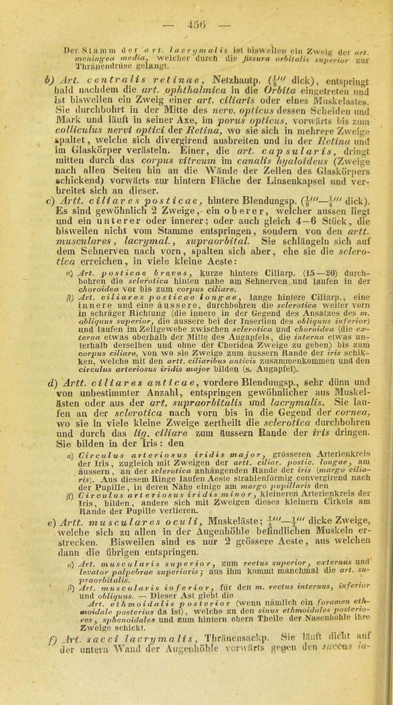 — 450 — DerSlamni iler art. lacrymalis i.sl Ijiswt'ileii ein Zweig der «r/. meniiig-en media, welclier durcb die ßssura orbitalis sujierior zur TliräiKjiidiü«« gelangt. b) Art. contra Iis retinae, Netzhautp. {\' dick), entspringt bald nachdem die art. pphthalmica in die Orbita einf^etieten und ist bisweilen ein Zweig einer art. ciliaris oder eines Miiskelastes. Sie durchbohrt in der Mitte des nerv, opticus dessen Scheiden und Mark und lUuft in seiner Axe, im porus opticus, vorwärts bis zum coUiculus nervi optici der Retina, wo sie sich in mehrere Zweig« spaltet, welche sich divergirend ausbreiten und in der lietinu und im Glaskörper verästeln. Einer, die art. cap sularis, dringt mitten durch das corpus vitreum im canalis hyaloideus (Zweige nach allen Seiten hin an die Wände der Zellen des Glaskör[)ers schickend) vorwärts zw hintern Fläche der Linsenkapsel und ver- breitet sich an dieser. c) Artt. ciliares posticae, hintere Blendungsp. —dick). Es sind gewöhnlich 2 Zweige,- ein oberer, welcher aussen liegt und ein unterer oder innerer; oder auch gleich 4—6 Stück, die bisweilen nicht vom Stamme entspringen, sondern von den artt. musculares, lacrymal., supraorbital. Sie schlängeln sich auf dem Sehnerven nach vorn, spalten sich aber, ehe sie die sclero- tica erreichen, in viele kleine Aeste: a) Art. posticae braves, Kurze lilntere Ciliarp. (15—20) durcli- l)oliren die sderotica Iiiuten nahe am Selmerven und laufen iu der choroidea vor Iiis zum corpus ciliare. Art. ciliares posticao loiig^ae, lange liinfere Ciliarp., eine innere und eine äussere, durcliboliren die sderotica weiter vorn in schräger Richtung (die innere in der Gegend des Ansatzes des m. abliguus svperior, die äussere bei der Insertion des obliquvs inferior) und laufen im Zellgewebe zwischen sderotica luid choroidea (die ex- terna etwas oberhalb der Mitte des Augapfels, die interna etwas un- terhalb derselben und ohne der Choridea Zweige zu geben) bis zum corpus ciliare., von wo sie Zweige zum äussern Rande der iris schik- Ken, welche mit den artt. ciliaribus anticis zusammenkommen und den circulus arteriosus iridis major bilden (s. Augapfel). d) Artt. ciliares anticae, vordere Blendungsp., sehr dünn und von unbestimmter Anzahl, entspringen gewöhnlicher aus Muskel- ö.sten oder aus der art, supraorbitalis und lacrymalis. Sie lau- fen an der sderotica nach vorn bis in die Gegend der cornea, wo sie in viele kleine Zweige zertheilt die sderotica durchbohren und durch das liq. ciliare Äum äussei-n Rande der iris dringen. 9- Sie bilden in der Iris: den a) Circulus arteriosus iridis major, grösseren Arterienkreis der Iris, zugleich mit Zweigen der artt. ciliar, postic. long-ae, Rm äussern, an der sderotica anhängenden Rande der iris (marg-o cilia- ris). Aus diesem Ringe laufen Aeste strahlenförmig convergirend nach der Pupille, in deren Nähe einige am margo pupillaris den ff) Ciroulus arteriosus iridis minor, kleineren Arterienkreis der Iris, bilden, andere sich mit Zweigen dieses kleinern Cirkels am Rande der Pupille verliereiu e) Artt. musculares oculi, Muskeläste; dicke Zweige, welche sich zu allen in der Augenhöhle befindliciien Muskeln er- strecken. Bisweilen sind es nur 2 grössere Aeste, aus welchen dann die übrigen entspringen. a) Art. muscularis superior. Zum rectus superior, externus üiul levator palpebrae sitperioris; aus ihm kommt manchmal die art. su- praorbitalis. . . ß) Art. muscularis inferior, für Am m. rectus internus, infertor und obliquus, — Uiesef Ast giebt die Art. othmoidalis posterior (wenn nämlich ein/orfliwe» e'»- moidale posterius da isf), welche ZU den sinus et/imoidnles posterio- res, sphenoidalea und Kum hintern Obern Theile der Na^senhuhle ihre Zweige schickt. f) .trt. sacci lacrymalis , Thränensackp. wSie läuft diclit auf der untern Wand der Augenhöhle vorwärts geyen den suci-us tu-