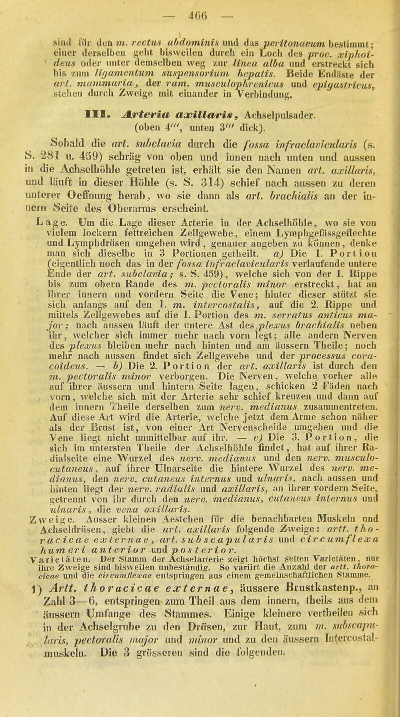 — 400 — sind i'iU- dünm.rectus aOdominis md das peyitonaeum hesümail; einer derselben geht bisweilen durch ein Loch des proc. xiiihui- ' deus oder unter demselben weg zur lineu alba und erstreckt sich bis '/um lifjainenlum Suspensorium hepatis. Beide Endilste der art. mammaria, der ram. musculophrenicus und epigastricus, stehen durch Zweige mit einander in Verbindung. III. Arteria aacillei/riSa Achselpulsader. (oben 4', unten 3' dick). Sobald die art. subclavia durch die fossa infradavicularis (h. S, 281 u. 459) schräg von oben und innen nach unten und aussen in die Achselhölde getreten ist, erhält sie den Namen arl. axillaris, und läuft in dieser Höhle (s. S. 314) schief nach aussen zu deren unterer Oeffnung herab, wo sie dann als art. brachialis an der in- nern Seite des Oberarms erscheint. Lage, Um die Lage dieser Arterie in der Achselhöhle, wo sie von vielem lockern fettreichen Zellgewebe, einem Lymphgefässgeflechte und Lymphdrüsen umgeben wird, genauer angeben zu können, denke man sich dieselbe in 3 Portionen getheilt. a) Die L Portion (eigentlich noch das in der fossa inf'raclavicularis verlaufende untere Ende der art. subclavia; s. S. 459), welche sich von der 1. Rippe bis zum obern Rande des m, j^ectoralis minor erstreckt, hat an ihrer Innern und vordem Seite die Vene; hinter dieser stützt sie sich anfangs auf den 1. m. intercostalis, auf die 2. Rippe und mittels Zellgewebes auf die L Portion des m. serratus anticus ma- jor; nach aussen läuft der untere Ast des .p/ea;us brachialis neben ihr, welcher sich immer mehr nach vorn legt; alle andern Nerven des jplexus bleiben mehr nach hinten und am äussern Theile; noch mehr nach aussen findet sich Zellgewebe und der i^rocessus cora- coidetis. — b) Die 2. Portion der art. axillaris ist durch den m. pectoralis minor verborgen. Die Nerven, welche vorher alle auf ihrer äussern und hintern Seite lagen, schicken 2 Fäden nach ^ I vorn, welche sich mit der Arterie sehr schief kreuzen und dann auf dem Innern Theile derselben zum nerv, medianus zusammentreten. Auf diese Art wird die Arterie, welche jetzt dem Arme schon näher als der Brnst ist, von einer Art Nervenscheide umgeben und die Vene liegt nicht unmittelbar auf ihr. — c) Die 3. Portion, die sich im untersten Theile der Achselhöhle findet, hat auf ihrer Ra- dialseite eine Wurzel des nerv, medianus und den nerv, musculo- cutaneus, auf ilu-er Ulnarseite die hintere Wurzel des nerv- me- dianus, den nerv, cutaneus internus und ulnaris, nach aussen und hinten liegt der nerv, radialis und axillaris, an ihrer vordem Seite, getrennt von ihr durch den «erü. medianus, cutaneus internus und ulnaris, die vena axillaris. Zweige. Ausser kleinen Aestchen für die benachbarten Muskeln imd Achseldrüsen, giebt die art. axillaris folgende Zweige: artt. tho- racicae ex ternae, art. sub scapularis und cir cumfle x a humeri anterior und pos terior. Varietäten. Der Stamm der Äcliselarterie zeigt hörlist selten Varietäten, mir ilire Zweige sind bisweilen unbeständig. So variirt die Anzahl der artt. thora- cicae und die circuinflexae entspringen aus einem gemeinscliaflliclien Stamme. j) Arft, thoracicae ext ernae, äussere ßrustkastenp., an Zahl 3—6, entspringen zum Theil aus dem Innern, theils aus dem äussern Umfange des Stammes. Einige kleinere vertheilen sich in der Achselgrube zu den Drüsen, zur Haut, zum m. subscapu- Juris, pectoralis major und minor imd zu den äussern httcrcostal-