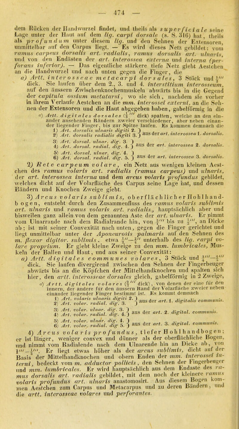 dem Rücken der Handwurzel findet, und tlieils als superficiale seine Lage unter der Haut auf dem lif/. carpi äor.sale (s. S. 3IG) hat, tlieils als ])r ofun (l um unter diesem lif/. und den Sehnen der Extensoren uiunittelbar auf den Carpus liegt. —'Es wird dieses Netx gebildet: von! minus carpeus dorsalts ort. radialis, ramus dorsalis arl. nlvaris, und von den Endästea der art. interossiia ewterna und interna (jier- forans inferior). — Das eigentliche stilrkere tiefe Netz giebt Aeslchen an die Ifandwurzel und nach unten gegen die Finger, die a) Artt. inter 0 s s o. a e me tacarpi dorsales, 3 Stück und dick. vSie laufen über dem 2., 3. luid 4. interstitium interosseum, auf den äussern Zwischenknochenmuskeln abwilrts bis in die Gegend der capiiufa ossium metatarsi, wo sie sich, n.ichdera sie vorher in ihrem Verlaufe Aestchen an die mm. interossei exlerni, an die Seh- nen der Extensoren und die Haut abgegeben haben, gabelförmig in die «) Artt. dig-it ales dorsales (3' dick) spalten, welche an den ein- ander anseilenden Rändern zweier verschiedener, aber neben einan- der liegender Finger, bis zur Spitze laufen. Es kommen demnach die 1) Ärt. dorsalis ulnaris diirili 2. 1 , . . ■, 2) Art. dorsalis radialis dtg-ili 3.-) der art. tnlerossea i. dorsalis. 3) Art. dorsal, ulnar, die-. 3. 3 , . , 4) Art. dorsal, radial, diff. 4.) ^us der art. mterossea 2. dorsalts. 5) Art. dorsal, tilnar. dig: 4. 1 6) Art. dorsal, radial, dig: 5. J der art. interossea 3. dorsalis. 1) Rete carpeum volare, ein Netz aus wenigen kleinen Aest- chen des ramus volaris art. radialis (ramus carpeus) und ulnaris, der art. interossea interna und dem arcus volaris profundus gebildet, welches dicht auf der Volarfläche des Carpus seine Lage hat, und dessen Bändern und Knochen Zweige giebt. Z) Arcus volaris sub limi s, ob er f I ä cli II c h er Höh 1 h an d- b ogen, entsteht durch den Zusammenfluss des ramus volaris sublimis art. ulnaris und ramus volaris art. radialis, hauptsächlich aber und bisweilen ganz allein von dem genannten Aste der art. ulnaris. Er nimmt vom Ulnarrande nach dem Radialrande hin, von |' bis zu an Dicke ab; ist mit seiner Convexität nach unten, gegen die Finger gerichtet und liegt unmittelbar unter der Aponeuro.Hs palmaris auf den Sehnen des m. fleocor diffitor. sublimis, etwa 2—! unterhalb des liff. carpi vo- lare proprium. Er giebt kleine Zweige zu den mm. lumbricales, Mus- keln der Ballen und Haut, und aus seiner Convexität: a) Artt. digitales communes volares, 3 Stück und |'— dick. Sie laufen divergirend zwischen den Sehnen der Fingerbeuger abwärts bis an die Köpfchen der Mittelhandknoch^n und spalten sich hier, den ai^tt. interosscae dorsales gleich, gabelförmig in 2 Zweige, a) Artt. digitales volares (f dick), von denen der eine für den innern, der andere für den äussern Rand der Volarfläche zweier neben einander liegender Finger bestimmt ist. Es kommt demnach i; Arl: r&^Äg^a ] 1- — 2ä i'^: ^r. — % Ali. TolZ. 5. } aus der art. 3. digital, communis. 4) Arcus volaris pro fundus, tiefer Hohl handbogen: er ist länger, weniger convex und dünner als der oberflächliche Bogen, und nimmt vom Radialende nach dem Ulnarende hin an Dicke ab, von yii _xtii E,. liegt etwas höher als Aer arcus sublimis, dicht auf der Basis der Mittelhandknochen und ohern Enden der mm. interossei iii- terni, bedeckt vom m. adductor pollicis, den Sehnen der Fingerbpng«T und mm. lumbricales. Er wird hauptsächlich aus dem Endaste des ra- mus dorsalis art. radialis gebildet, mit dem noch der kleinere rtinivs volaris profundus arl. ulnaris anastomosirt. Aus diesetti Bogen kom- men Aestchen zum Carpus und Metacarpus und zu deren Bändern, und die artt. interosscae volares und perforantes. \