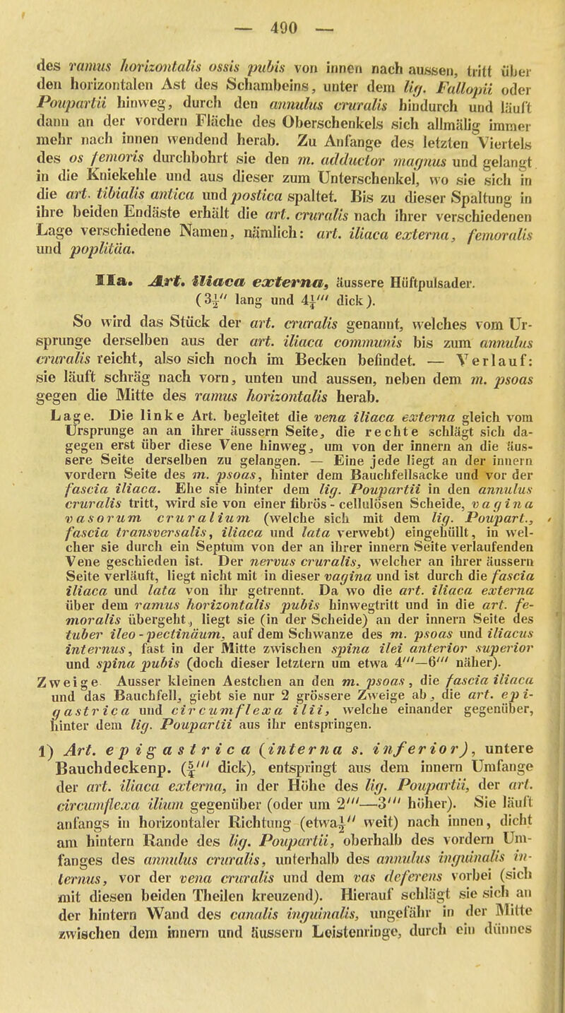 I — 490 — des ramits horizonlalis ossis jnibis von iiinen nach aussen, tritt über den horizontalen Ast des Schambeins, unter dem %. Fallopn oder Ponpartii hinweg, durch den annulus crumlis hindurch und läuft dann an der vordem Fläche des Oberschenkels sich allmälig immer mehr nach innen wendend herab. Zu Anfange des letzten Viertels des OS femoris durchbohrt sie den m. adductor magnus und gelangt in die Kniekehle und aus dieser zum Unterschenkel, wo sie sich in die art. tibiaUs antica und jwstica spaltet. Bis zu dieser Spaltung in ihre beiden Endäste erhält die art. crumlis nach ihrer verschiedenen Lage verschiedene Namen, nämlich: art. iliaca externa, femoralis und poplitäa. IIa. Art, iliaca eaeterna, äussere Hüftpulsader. (31 lang und i^' dick). So wird das Stück der art. cruralis genannt, welches vom Ur- sprünge derselben aus der art. iliaca commums bis zum annulus 6'nim/«Ä reicht, also sich noch im Becken befindet. — Verlauf: sie läuft schräg nach vorn, unten und aussen, neben dem m. psoas gegen die Mitte des ramus horizontalis heiab. Lage. Die linke Art. begleitet die venu iliaca externa gleich vom Ursprünge an an ihrer äussern Seite, die rechte schlägt sich da- gegen erst über diese Vene hinweg, um von der innern an die äus- sere Seite derselben zu gelangen. — Eine jede liegt an der innern vordem Seite des m. psoas, hinter dem Baucbfellsacke und vor der fascia iliaca. Ehe sie hinter dem lig. Poujjartii in den annulus cruralis tritt, wird sie von einer fibrös - cellulösen Scheide, vagina vasorum cruralium (welche sich mit dem lig. Poujtart., > fascia transversalis, iliaca und lata verwebt) eingehüllt, in wel- cher sie durch ein Septum von der an ihrer innern vSeite verlaufenden Vene geschieden ist. Der nervus cruralis, welcher an ihrer äussern Seite verläuft, liegt nicht mit in dieser vagina und ist durch die fascia iliaca und lata von ihr getrennt. Da wo die art. iliaca externa über dem ramus horizontalis pubis hinwegtritt und in die art. fe- moralis übergehtliegt sie (in der Scheide) an der innern Seite des tuber ileo - pectinäum, auf dem Schwänze des m. psoas und iliacus internus, fast in der Mitte zwischen spina ilei anterior superior und spina pubis (doch dieser letztern um etwa 4'—6' näher). Zweige Ausser kleinen Aestchen an den m. psoas, die fascia iliaca und das Bauchfell, giebt sie nur 2 grössere Zweige ab, die art. epi- gastrica und cir cumflex a ilii, welche einander gegenüber, hinter dem lig. Poupartii aus ihr entspringen. 1) Art. epigastrica (^interna s. inferior), untere Bauchdeckenp. (|' dick), entspringt aus dem innern Umfange der art. iliaca externa, in der Höhe des lig. Poupartii, der art. drcumflexa iliiim gegenüber (oder um 2'—3' höher). Sie läuft anfangs in horizontaler Richtung (etvva| weit) nach innen, dicht am hintern Rande des lig. Poupartii, oberhalb des vordem Um- fanges des annulus cruralis, unterhalb des annulus inguinalis in- ternus, vor der vena cruralis und dem vas deferens vorbei (sich mit diesen beiden Theilen kreuzend). Hierauf schlägt sie sich an der hintern Wand des canalis inguinalis, ungefähr in der Mitte zwischen dem innern und äussern Leistenringe, durch ein dünnes