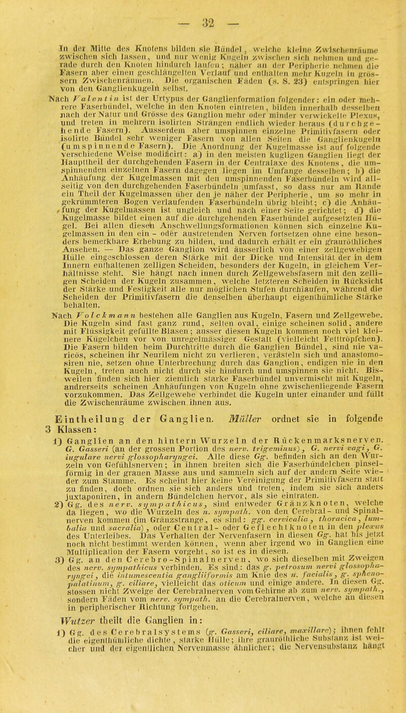 In tl(U' Mille di.'S Knotens bilden «iß Bündel, welche kleine Zwlsdienräum« zwisclicn sieh lassen, nnd niii- weni« Kugeln zwisehen sich nehmen und ge- rade durch den Knoten liindurch ianfcu ; nalier an der Periplicrie iielnuen die Fasern aher einen ResclilänKellen VerJauf und eniliallen mehr Kujieln in jjros- sern Zwischenräumen. Die orfianiscliea Jh'äden Cs- 23) einspringen hier von den GanKÜenliugeln selbst. Nach FalcHiiit ist der Urlypus der GanKlienformation folgender: ein oder meh- rere Faserhiindel, welche in den Knoten einirelen, bilden innerhalb desselben jiach der Natur uml Grösse des Ganglion mehr oder minder veiwickelte Plexus, vnd treten in mehrern isolirten «trängen endlich wieder heraus ^d u r chge- Ii ende Fasern). Ausserdem aber umspinnen einzelne Primitiv fasern oder isolirte Bündel sehr weniger Fasern von allen Seiten die Ganglienkugeln (u m s p i n n e n d e Fasern). Die Anordnung der Kugelmasse ist auf folgende verschiedene Weise modificirt: a) in den meisten kugligen Ganglien liegt der Hauptlheil der durcligebenden Fasern in der C'entralaxe des Knotens, die um- spinnenden ein/.elnen Fasern dagegen liegen im Umfange desselben; b) die Anhäufung der Kugelmassen mit den umspinnenden Fäserbündeln wird all- seilig von den durchgehenden Faserbündeln iumfasst, so dass nur am Bande ein Theil der Kugelmassen über den je näher der Periplierie, um so mehr in gekrümmteren Bogen verlaufenden Faserl)ündeln übrig bleibt; c) die Anhäii- rfung der Kugelmassen ist ungleich und nach einer Seite gerichtet; d) die Kugelmasse bildet einen auf die durcligebenden Faserbündel aufgesetzten Hü- gel. Bei allen dieseii Anschwellungsformationen können sich einzelne Ku- gelmassen in den ein - oder austretenden Ner\'en fortsetzen ohne eine beson- ders bemerkbare Erhebung zu bilden, und dadurch erhält er ein ^raurolhliches Ansehen. — Das ganze Ganglion wird äusserlich von einer zellgewebigen Hülle eingeschlossen deren Stärke mit der Dicke und Intensiläl der in dem Innern enthaltenen zelligen Scheiden, besonders der Kugeln, in gleichem Ver- hältnisse sieht. Sie hängt nach innen durch Zellgewebsfasern mit den zelli- gen Scheiden der Kugeln zusammen, welche letzteren Scheiden in Uücksiclit der Stärke und Festigkeit alle nur möglichen Stufen durcbiaufen, während die Scheiden der Primilivfasern die denselben überhaupt eigenlhümliche Stärke behalten. Nach p'o Ick mann bestellen alle Ganglien aus Kugeln, Fasern und Zellgewebe. Die Kugeln sind fast ganz rund, selten oval, einige scheinen solid, andere mit Flüssigkeit gefiQlte Blasen; ausser diesen Kugeln kommen noch viel klei- nere Kügelchen vor von unregelmässiger Gestalt fvielleicht Fetttröpfchen). Die Fasern bilden beim Durchlritte durch die Ganglien Bündel, sind nie va- ricös, scheinen ihr Neurilem nicht zu verlieren, verästeln sich und anastomo- siren nie, setzen oluie Unterbrechung durcli das Ganglion, endigen nie in den Kugeln, treten auch nicht durch sie hindurch und umspinnen sie nlchr. Bis- ■ weilen finden sich hier ziemlich starke Faserbündel unvermischt mit Kugeln, andrerseits scheinen Anliäufungen von Kugeln ohne zwisclienliegende Fasern vorzukommen. Das Zellgewel)e verbindet die Kugeln unter einander und fiillt die Zwischenräume zwisclien ihnen aus. Eintheilung der Ganglien. Müller ordnet sie in folgende 3 Klassen: 1) Ganglien an den hintern Wurzeln der Rückenmarksneryen. G. Gasseri (an der grossen Portion des nerv, trig-eminus), G. nervi vaffi, G. iuffiilare nervi g-lossopharung-ei. Alle diese Gg: befinden sich an den AVur- zeln von Geflililsnerven; in ihnen breiten sich die Faserbündelcben pinsel- förmig in der grauen Masse aus und sammeln sich auf der andern Seile wie- der zum Stamme. Es scheint hier keine Vereinigung der Primitivfasern statt zu finden, doch ordnen sie sich aiulers und treten, indem sie sich anders juxtaponiren, in andern Bündelcben hervor, als sie eintraten. 2) Gg. des nerv, symp attticus, sind entweder Gräiizknoten, welche da liegen, wo die Wurzeln des n. sijmpni/i. von den Cerebral- und Spinal- nerven kommen (im Gränzstraiige, es sind: ffg-. cervicalia, ihoracica, fum- öalia und sacralia), oder Central- oder Geflechtknoten in den plexus des Unterleibes. Das Verhalten der Nervenfasern in diesen Gg. hat bis jetzt noch nictit bestimmt werden können, wenn aber irgend wo in Gauglien eine Multiplicalion der Fasern vorgeht, so ist es in diesen. 3) Gg. au den C er e b r o -S p i nal n e rve n , wo sicli dieselben mit Zweigen des nerv, sijmpatliicns verbinden. Es sind : das g. pelrosum nervi glossojtiin- ryiigei, die inlumescenlia gangUiformis am Knie des n. facialis, g. spheno- palalinum, g. ciliare, vielleicht das oticuni und einige ainlere. In diesen Gg. .stossen nicht Zweige der Cerebral nerven vom Gehirne ab zum nerv, si/mpaih., sondern Fäden vom «ery. syntpatli. an die Cerebraluerven, welclie an diesen in peripherischer Bichtung fortgehen. Wutzer theilt die Ganglien in: n Gg des Ce rebral Systems {g. Gasseri, ciliare, maccillarc); ilinen fehlt die eigentliüinliche dichte, starke Hülle; Ihre grauröthliche Substanz ist wei- cher und der eigentlichen Nervenmasse älinlicher; die Nervensubslanz Langt