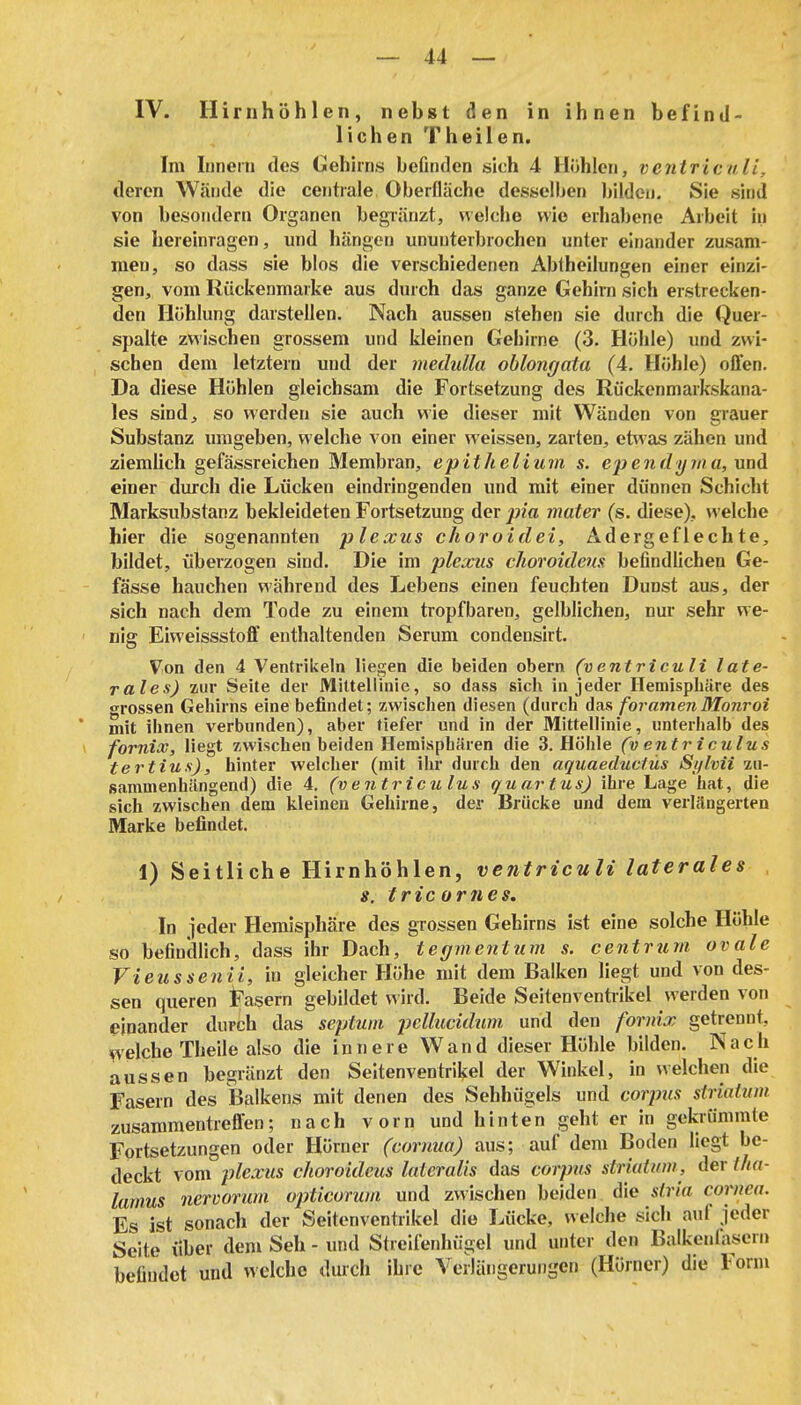 IV. Hirnhöhlen, nebst den in ihnen befind- lichen Thailen. Im Innern des Gehans befinden sich 4 Höhlen, ventriculi, deren Wände die centrale Oberfläche desselben bilden. Sie sind von besondern Organen begiänzt, «eiche wie erhabene Arbeit in sie hereinragen, und hängen ununterbrochen unter einander zusam- men, so dass sie blos die verschiedenen Abtheilungen einer einzi- gen, vom Ilückenmarke aus durch das ganze Gehirn sich erstrecken- den Ilühlung darstellen. Nach aussen stehen sie durch die Quer- spalte zwischen grossem und kleinen Gehirne (3. Höhle) und zwi- schen dem letztern und der medulla oblongata (4. Höhle) offen. Da diese Höhlen gleichsam die Fortsetzung des Rückenmarkskana- les sind, so werden sie auch wie dieser mit Wänden von grauer Substanz umgeben, welche von einer weissen, zarten, etwas zähen und ziemlich gefässreichen Membran, epithelium s. ependyma, nnA einer durch die Lücken eindringenden und mit einer dünnen Schicht Marksubstanz bekleideten Fortsetzung der pia mater (s. diese), welche hier die sogenannten plexus choroidei, Adergeflechte, bildet, überzogen sind. Die im plexus choroidcm befindlichen Ge- - fasse hauchen während des Lebens einen feuchten Dunst aus, der sich nach dem Tode zu einem tropfbaren, gelblichen, nur sehr we- ' nig Eiweissstoff enthaltenden Serum condensirt. Von den 4 Ventrikeln liegen die beiden obern (ventriculi late- rales) zur Seite der Mittellinie, so dass sich in jeder Hemisphäre des «rossen Gehirns eine befindet; zwischen diesen (durch das foramenMonroi mit ihnen verbunden), aber tiefer und in der Mittellinie, unterhalb des fornix, liegt zwischen beiden Hemisphären die 3. Höhle (v entr iculus tertius), hinter welcher (mit ihr durch den aquaeduclüs Sylvii zu- sammenhängend) die 4. (v entr iculus quartus) ihre Lage hat, die sich zwischen dem kleinen Gehirne, der Brücke und dem verlängerten Marke befindet. 1) Seitliche Hirnhöhlen, ventriculi laterales s. tric ornes. In ieder Hemisphäre des grossen Gehirns ist eine solche Höhle so beiincllich, dass ihr Dach, tegmentum s. c entr um ovale Vieussenil, in gleicher Höhe mit dem Balken liegt und von des- sen queren iFasern gebildet wird. Beide Seitenventiikel werden von einander durch das septum pcllucidum und den fornix getrennt, welche Theile also die innere Wand dieser Höhle bilden. Nach aussen begränzt den Seltenventrikel der Winkel, in welchen die Fasern des Balkens mit denen des Sehhügels und corpus striaium zusammentreffen; nach vorn und hinten geht er in gekrümmte Fortsetzungen oder Hörner (cornua) aus; auf dem Boden liegt be- deckt vom plexus choroideus lateralis das corpus striaium, der t/tn- lamus nervorum opticorum und zwischen beiden die stria Cornea. Es ist sonach der Seitenventrikel die Lücke, welche sich auf jeder Seite über dem Seh - und Streifenhiigel und unter den Balkenlasern befindet und welche durch ihre Verlängerungen (Hörncr) die Form