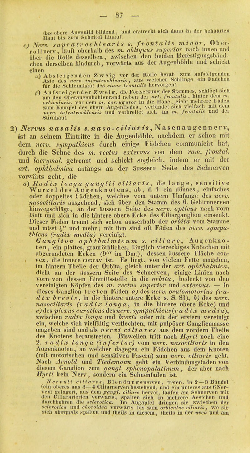 (las ol»eie Augeiilül bililend, uiul ersüeckt «ich dann in der beliaaiten Haut bis zum Sclieitel hinauf. c) Nerv, supr a tr oc hl ear i s e. frontalis minor. Ober- roll nerv, liliift oberhalb des m. ohliquus swpeinor nach innen und über die Rolle desselben, zwischen den beiden Befestigimgsbiind- chen derselben hindurch, vorwärts aus der Augenhöhle und schickt einen . , . «3 Absteigenden Zweig vor der Rolle herab zum anfsleigenden Asle des nerv, infratrochlearis, aus welcher Schiinge ein ladchen für die Schleimhaut des sinus frontalis hervorgeht. Aufsteigender Zweig, die Fortsetzung des Stammes, schlägt sich um den Oberaugenhöhlenrand nel)en der <xrf. frontalis, hinter dem m. orbicularis, VO r dem m. comtg-ator in die Höhe, giebt mehrere laden zum Knorpel des Obern Augenliedes, verbindet sich vielfach mit dem nerv, infratrochlearis und verbreitet siCh im m. frontalis Ulld der Stirnhaut. 2) Nervus nasalis s. na so-ciliaris ^ISasenangennerv, ist an seinem Eintritte in die Augenhohle, nachdem er schon mit dem nerv, sympathicus durch einige Fädchen communicirt hat, durch die Sehne des m. rechts externus von dem ram. frontal. ,und lacrymal. getrennt und schickt sogleich, indem er mit der (irt. ophthiilinica anfangs an der äussern Seite des Sehnerven vorwärts geht, die a) Radix longa ganglii ciliaris, die lange, sensitive Wurzel des A u g en t n ot ens, ab, d. i. ein dünnes, einfaches oder doppeltes Fädchen, welches vom untern Umfange des nerv, nasociliaris ausgehend, sich über den Stamm des 6, Gehirnnerven liinwegschlägt, an der äussern Seite des nerv, opticus nach vorn läuft und sich in die hintere obere Ecke des Ciliar^anglion einsenkt. Dieser Faden trennt sich schon ausserhalb der orbita vom Stasnine und misst \ und mehr; mit ihm sind oft Fäden des nerv, sympa- thicus (radix media) vereinigt. G ang Hon ophthalmicum s. ciliare, Augenkno- ten, ein plattes, grauröthliches, länglich viereckiges Knötchen mit abgerundeten Ecken (9' im Dm.), dessen äussere Fläche con- I vex, die innere concav ist. Es liegt, von vielem Fette umgeben, im hintern Theile der Orbita, gleich unter der art. Ophthalmien, dicht an der äussern Seite des Sehnerven, einige Linien nach vorn von dessen Eintrittsstelle in die orbita, bedeckt von den vereinigten Köpfen des m. rectus superior und externus. — In dieses Ganglion treten Fäden des nerv, or.ulomotorius (ra- dix brevis, in die hintere untere Ecke s. S. 83), b) des nerv, nasociliaris (r adix l ong a, in die hintere obere Ecke) und cJAtäplexus caroticus des nerv, sympathicus (r a d i X media'), zwischen radix longa und brevis oder mit der erstem vereinigt ein, welche sich vielfältig verflechten, mit pulpöser Ganglienmasse umgeben sind und als nervi ciliares aus dem vordem Theile des Knotens heraustreten. Bisweilen tritt nach Hyrtl noch eine 2. radioo longa (inferior) vom nerv, nasociliaris in den Augenknoten, ari welcher dagegen ein Fädchen aus dem Knoten (mit motorischen und sensitiven Fasern) zum nerv, ciliaris geht. Nach Arnold und Tiedemann geht ein Verbindungsfaden von diesem Ganglion zum qangl. sphenopalalinum, der aber nach Hyrtl kein Nerv, sondern ein Sehnenfaden ist. Nervuli c»/f arcä^ B1 en dungsnerven, treten, in 2 — 3 Bündel (ein Oberes aus 3 — 4 Ciliarnerven bestehend, und ein unteres aus (»Ner- ven) gtilagerl, aus dem g-angl. ciliare hervor, laufen am Selinerven mit den Ciliararlerien vorwärts, spalten sich in mehrere Aestchen und durchbohren die sclerotica. Im Augapfel dringen sie zwischen der Sclerotien und cliornidea vorwärts l)is zum orbiculiis ciliaris, WO site sich abetiiials spalten und theils in diesem, tUeils in der uvea und am