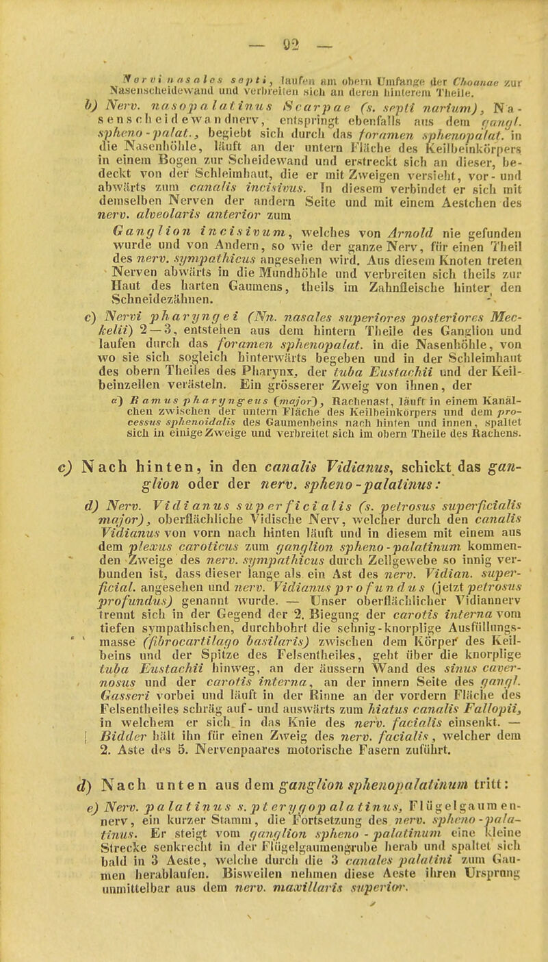 Norvi iiasalos sapti, laufen am obem Umfange Uer Choanae zur Naseiisclieidewaud und verhreilen sich an deren hinterem Theile. b) Nerv, naso'palatinus iScarpae (s. sppli narium), Na- se n s c h e i d e\v n n dnerv, einspringt ebenfalls ans dem ffaiiyl. siilu-no-pnlat., begiebt sich durch das fnramen .sphenopdiat. in die Nasenhöhle, I.'Uift an der untern Flüche des Keilbeinkörpers in einem Bogen zin- Scheidewand und erstreckt sich an dieser, be- deckt von der Schleimhaut, die er mit Zweigen versieht, vor-und abwärts zum canalis incisiims. In diesem verbindet er sich mit denjselben Nerven der andern Seite und mit einem Aestchen des nerv, alveolaris anterior zum Gang Hon inci.sivum, welches von Arnold nie gefunden wurde und von Andern, so wie der ganze Nerv, für einen Theil des nerv, .synipathicus angesehen wird. Aus diesem Knoten treten Nerven abwärts in die Mundhöhle und verbreiten sich theils zur Haut des harten Gaumens, theils im Zahnfleische hinter den vSchneidezähnen. c) Nervi pharyngei (Nn. nasales superiores posteriores Mec- kein) 2 — 3, entstehen aus dem hintern Theile des Ganglion und laufen durch dus foranten spheyiopalat. in die Nasenhöhle, von wo sie sich sogleich hinterwärts begeben und in der Schleimhaut des obern Theües des Pharynx^ der tuba Eustachii und der Keil- beinzellen verästeln. Ein grösserer Zweig von ihnen, der a) E am us pharyngens {major), Rachenasf, läuft in einem Kanäl- chen zwischen der untern Fläche des Keilbeinkörpers und dem Pro- cessus sphenoidalis des Gaimienbeins nach hinten und innen, spaltet sich in einige Zweige und verbreitet sich im obern Theile des Hachens. c) Nach hinten, in den canalis Vidianus, schickt das gan- glion oder der nerv, spheno -palatinus : d) Nerv. Vidi an us sup er fi ci alis (s. petrosus superficialis major), oberflächliche Vidische Nerv, welcher durch den canalis Vidianus von vorn nach hinten läuft und in diesem mit einem aus dem plexus caroticus zum ganglion spheno -palatinum kommen- den Zweige des nei'v. .sgmpathicus durch Zellgewebe so innig ver- bunden ist, dass dieser lange als ein Ast des nerv. Vidian. super- ficial, angesehen und nerv. Vidianuspr o fun dus (jetzt petro.ms profundus) genannt wurde. — Unser oberflächlicher Vidiannerv trennt sich in der Gegend der 2. Biegung der carotis interna\om tiefen sympathischen, durchbohrt die sehnig-knorplige Ausfüllungs- ' ' masse (ßbrocartilago basilaris) zwischen dem Körpei' des Keil- beins und der Spitze des Felsentheiles, geht über die knorplige tuba Eustachii hinweg, an der äussern Wand des sinus caver- nosus und der carotis interna, an der Innern Seite des gangl. Gasseri vorbei und läuft in der Rinne an der vordem Fläche des Felsentheiles schräg auf- und auswärts zum hiatus canalis Fallopii, in welchem er sich in das Knie des nerv, facialis einsenkt. — I Bidder hält ihn für einen Zweig des nerv, facialis, welcher dem 2. Aste des 5. Nervenpaares motorische Fasern zuführt. d) Nach unten aus dem ganglion sphenopalalinum tritt: e) Nerv, palatinus s.pteryqopalatinus, Flügelgaura en- nerv, ein kurzer Stamm, die Fortsetzung des nerv, .sphrno -pala- tinus. Er steigt vom ganglion spheno - 2}alatinum eine kleine Strecke senkrecht in der FÜigelgaumengrube herab und spaltet sich bald in 3 Aeste, welche durch die 3 canales palalini zum Gau- men herablaufen. Bisweilen nehmen diese Aeste ihren Ursprang unmittelbar aus dem nerv, maxillaris superio^'.