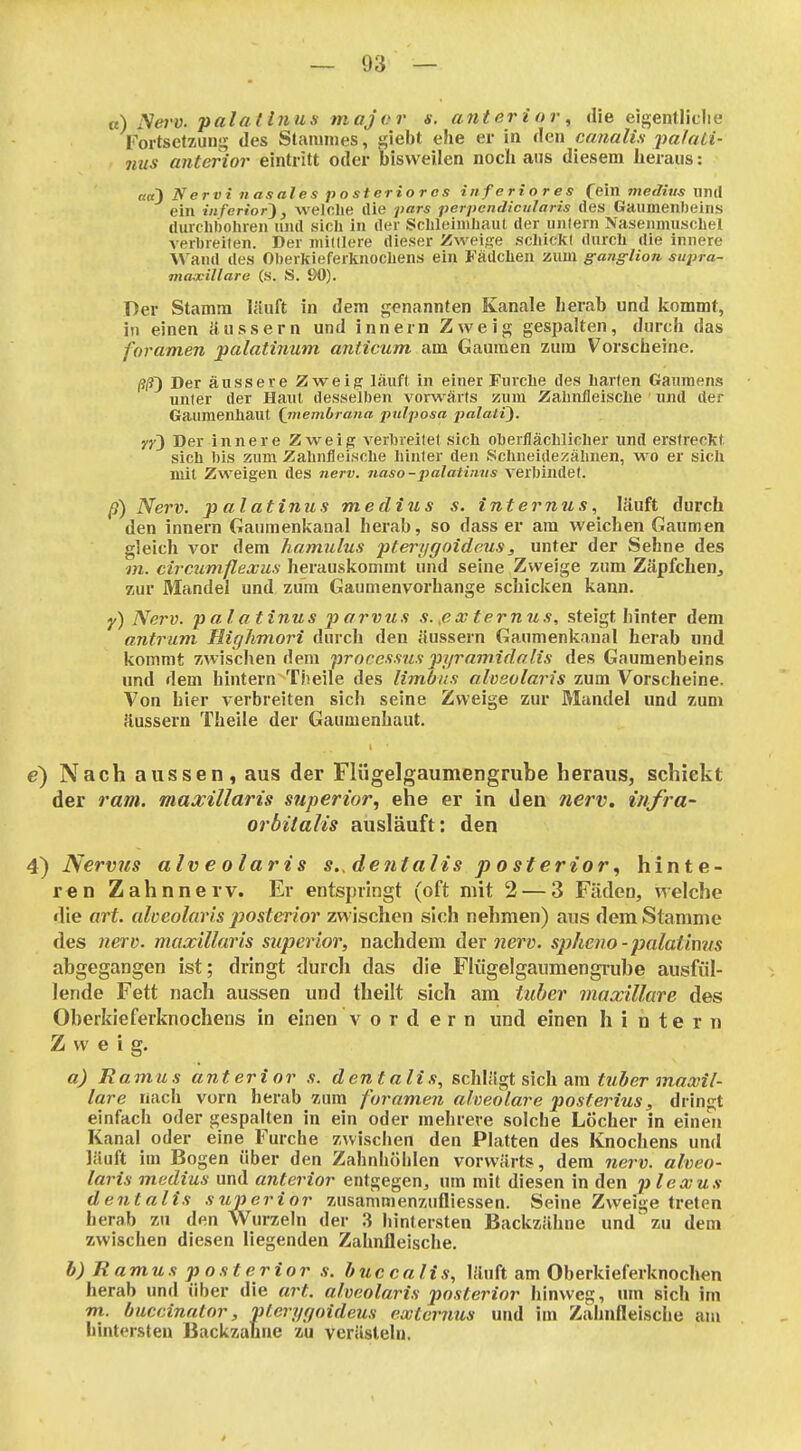 k) iVej'ü. pala linus major s. atiter i or, die eigenlliclie Fortsetzung des Stammes, giebt ehe er in de» canalis imhiLi- nus anterior eintritt oder bisweilen noch ans diesem heraus: ««3 Nervi nasales posteriores inferiores fein medius iind ein inferior), welche die jtars perpcndicularis des Gaumenbeins durchbohren und sich in der Schleimhaut der unlern Naseumuschel verbreiten. Der mildere dieser üweise schickl durch die innere Wand des Oberkieferknochens ein Fädchen zum ganglion supra- mawillare (S. S. 90). Der Stamm läuft in dem genannten Kanäle herab und kommt, in einen äussern und innern Zweig gespalten, durch das foramen palatinum anticum am Gaumen zinn Vorscheine. (llf) Der äussere Zweii? lauft in einer Furche des harten Gaumens unter der Haut desselben vorwärts zum Zahnfleische ' und der Gaumenhaut (jnembrana pnljtosa palaW). vy) Der innere Zweig verbreitet sich oberflächlicher und erstreckt sich bis zum Zahnfleische hinter den Schneidezähnen, wo er sicJi mit Zweigen des 7ierv. naso -palatirms verbindet. (i) Nerv, p alatinus medius s. internus, läuft durch den innern Gaumenkanal herab, so dass er am weichen Gaumen gleich vor dem hamulus pterygoideus, unter der Sehne des m. circumfLexus herauskommt und seine Zweige zum Zäpfchen, zur Mandel und zum Gaumenvorhange schicken kann. y) Nerv, palatinus jyfrvus s. ß x ternus, steigt hinter dem antrum Highmori durch den äussern Gaumenkanal herab und kommt zwischen dem processuspyramidolis des Gaumenbeins und dem hintern Tiieile des limbns alvsolaris zum Vorscheine. Von hier verbreiten sich seine Zweige zur Mandel und zum äussern Theile der Gaumenhaut. e) Nach aussen, aus der Flügelgaumengrube heraus, schickt der ram. maxillaris snperior, ehe er in den nerv, infra- orbitalis ausläuft: den 4) Nervus alveolaris s. dentalis posterior, hinte- ren Zahnnerv. Er entspringt (oft mit 2 — 3 Fäden, welche die art. aheolaris posterior zwischen sich nehmen) aus dem Stamme des 7ierv. maxillaris superior, nachdem der nerv, spheno - palatinus abgegangen ist; dringt durch das die Flügelganmengrube ausfül- lende Fett nach aussen und theilt sich am tuber maxillare des Oberkieferknochens in einen v o r d e r n und einen hintern Zweig. a) Ramus anterior s. dentalis, schlägt sich am tuber inaxil- lare nach vorn herab zum für amen alveolare posterius, drin^-t einfach oder gespalten in ein oder mehrere solche Löcher in eineji Kanal oder eine Furche zwischen den Platten des Knochens und läuft im Bogen über den Zahnhöhlen vorwärts, dem nerv, alveo- laris medius und anterior entgegen, um mit diesen in den plexus dentalis superior zusammenzufliessen. Seine Zweige treten herab zu den Wurzeln der 3 hintersten Backzähne und zu dem zwischen diesen liegenden Zahnfleische. b) Ramus posterior s. buccalis, läuft am Oberkieferknochen herab und über die art. alveolaris posterior hinweg, um sich im m.. buccinator, pterygoideus externus und im Zahnfleische am hintersten Backzahne zu verästeln.