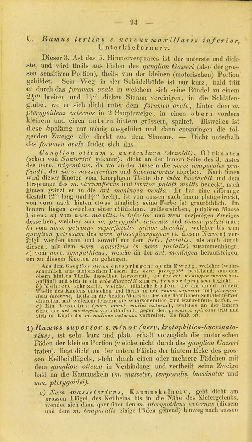 — 04 — C. Ramus terlius s. nervus maxillaris inferior, U n t e 1 k i e f e r n e r V. Dieser 3. Ast des 5. I-Ilrnriei vet)paares ist der unterste und dick- ste, und wird theils aus Fäden des fjuiu/Uon Gusseri (also der gros- sen sensitiven Portion), theils von der kleinen (motorischen) Porfion gebildet. Sein Weg in der Schädelhohle ist nur kurz, bald tritt er durch das foramen ovale in welchem sich seine Bündel zu einem 2^' breiten und 14-' dicken Stamm vereinigen, in die Schläten- grube, wo er sich dicht unter dem foramen ovale, hinter dem 7ii. pterygoideus extevnus in 2 Hauptzweige, in einen obern vordem kleinem und einen untern hintern grüssern, spaltet. Bisweilen ist diese Spaltung nur wenig ausgeführt und dann entspringen die fol- genden Zweige alle direkt aus dem Stamme. — Dicht unterhalb des foramen ovale findet sich das Ganglion oticum s. aur icular e (Arnoldi), Ohrknoten (schon von Santorini gekannt), dicht an der innern Seite des 3. Astes des nerv, trigeminus, da wo an der äussern die nervi temporales pro- ficndi, der nerv, massetericus und buccinatorius abgehen. Nach innen wird dieser Knoten vom knorpligen Theile der tuba Eustachii und dem Ursprünge des m. circumßexus nnd levator palati mollis bedeckt, nach hinten gränzt er an die art. meningea rtiedia. Er Jiat eine eiföiinige Gestalt (2' lang und breit), ist von aussen nach innen plattgedrückt, von vorn nach hinten etwas länglich; seine Farbe ist grauröthlich. Im Innern liegen zwischen einer rÖthiichen, gefässreichen, pulposen 3Iasse Fäden: a) vom nerv, maxillaris inferior und zwar desjenigen Zweiges desselben, welcher zum in. pterygoid. internus' und tensor palati irilt; b) vom nerv, petrosus siiperficialis minor Arno Uli, welcher bis rwm gangli&n petrosum des nerv, glosxopharijngeus (s. diesen Nen'enJ ver- folgt werden kann und sowohl mit dem nerv, facialis, als auch durch diesen, mit dem nerv, acusticus (s. nerv, facialis) zusammenhängt; 6') vom nerv, sgmpathicus, welche an der art. meningea heranl'steigeu, um zu diesem Kneten zu gelangen. Aus dem Ganfflion oticum entspringen: a) ein Zweig, welcher (walir- scbeiulicli aus moloiischen Fasern des nerv. jHerijg-oicl. l3esteliend) aus dem Obern liintern Tlieile desselben liervorlrilt, an der art. meningea media liin- aufläuft und sich in die tuba Eustachii zum m. icusor iijmjiani begiebl. — 6]iMebrere sehr zarte, welche, rölblicbe Fäden, die am unlern hiiilern Theile des Knotens entstehen und tlieils in den ramus superior und pien/g-oi- deus internus, theils in die beiden Wurzeln des oberfläctilichen Scliläfennerven eintreten, mit welchem letztem sie wahrscheinlich zum Paukenfelle laufen. — c~) Ein Ae stehen (jierv. muscl. mallei extorni~), welches an der innern Seite der art. meningea vorbeilaufend, gegen den ]>rocessus spinosus tritt und sich im Kopfe des m. malleus externus verbreitet. Es fehlt oft. 1) Ramus superior s. minor (nerv, krolapliitico-huccinato- rius) , ist sehr kurz und platt, erhält vorzüglich die motorischen Fäden der kleinen Portion (welche nicht durch das ganglion Gasseri traten), liegt dicht an der untern Fläche der hintern Ecke des gros- sen Keilbeinflügels, steht durch einen oder mehrere Fädchen mit dem ganglion oticum in Verbindung und vertheilt seine Zweige bald an die Kaumuskeln {m. masseter, temporalis, buccmator und jmn. pterygoidei). a) Nerv, massetericns, K aumusk eln erv , geht dicht am grossen Flügel des Keilbeins bis in die Nähe des Kiefergelenks, wendet sich dann quer über den m. pterggoidcus ea-tcrnus (diesem und dem m. temporalis einige Fäden gebend; Ijiinveg nach aussen