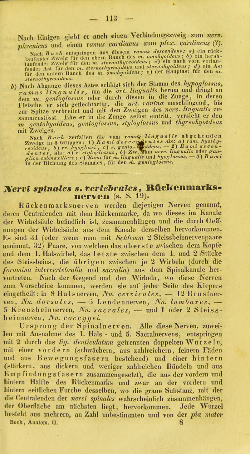 Nach Einigen giebt er auch einen Verblndungszweig zum nern. phreniais und einen ramus cardiams zum plex\ mrdiams (?)• \Ach Bach eiilsiuinseii aus diesem ramus descenclens:a^ ein xücK- laüfender Xweig für den oberii Bauch des m. omohyoideus-j b-) ein lierab- laX der Xwei^' für den m. slarnothureouleus; c) ein nach vorn verlau- fender \st für den m. sternothyreoüieus und sternohyotdeus ; d) ein Ast für den untern Bauch des m. omohyoideus; «3 der Uauptast für den m. sternothyreoideus. b) Nacli Absänge dieses Astes schlägt sich der Stamm des hypoglossus, ramus linnualis, um die art. lingualis herum und drmgt an dem m. qenioglossus oder durch diesen in die Zun^e , in deren Fleische er sich geflechtartig, die art. ranina umscliimgend, bis zur Spitze verbreitet und mit den Zweigen des nerv, lingualis zu- sammenstösst. Ehe er in die Zunge selbst eintritt, versieht er den »«. geniohijoideus, genioglossus, slyloglossus und thyreuhyoideus mit Zweigen. Nach Bach zerfallen die vom ramxat- lingualis abgehenden Zweige in 3 Gruppen: 13 Rami des c eitj^cnt es als: a) ram. hyothy- reoideus, bl rr. ht/og-lossi , c3 r. g-enio-O^ideus. — 2) Ramt as ee Il- de iit es, als: a3 r. stylofflossus, 63 Zw.^m nerv. Itngualis oderg-a«- glion submaxillare; c') Rami für m. lingualis und hyoglossus, ^Sj Ramx XU der Richtung des Stammes, fiir den tii. genioglossus. Jüiervi spinales s, vertebrales, Rücfeenmarlcs- nerven (s. S. 19). Rückenmarksnerven wertlen diejenigen Nerven genannt, deren Centixtlenden mit dem Rückenmarke, da wo dieses im Kanäle der Wirbeisäule befindlich ist, zusammenhängen und die durch OefiF- nungen der Wirbelsäule aus dem Kanäle derselben hervorkonmien. Es sind 31 (oder wenn man mit Schlemm 2 Steissbeinnervenpaave annimmt, 32) Paare, von welchen das oberste zwischen dem Kopfe und dem I.Halswirbel, das letzte zwischen dem 1. und 2 Stücke des Steissbeins, die übrigen zwischen je 2 Wirbeln (durch die foramina intervertebralia und sacralia) aus dem Spinalkanale her- vortreten. Nach der Gegend und den Wirbeln, wo diese Nerven zum Vorscheine kommen, werden sie auf jeder Seite des Körpers eingetheilt: in 8 Halsnerven, Nn. cervicales, — 12 Brustner- ven, Nn. dorsales, — 5 Lendennerven, iV«. lumbar e s, — 5 Kreuzbeinnerven, Nn. sacrales, — und 1 oder 2 Steiss- b ein nerven, JVn. coccyrjei. Ursprung der Spinalnerven. Alle diese NeiTen, zuwei- len mit Ausnahme des 1. Hals - und 5. Sacralnervens, entspringen mit 2 durch das lirj. dentlcidatum getrennten doppelten Würze I n, mit einer vordem (schwächern, aus zahlreichern, feinern Fäden und aus Bewegungsfasern bestehend) und einer hintern (stärkern, aus dickern und weniger zahlreichen Bündeln und aus Empfindungsfasern zusammengesetzt), die aus der vordem und hintern Hälfte des Rückenmarks und zwar an der vordem und hintern seitlichen Furche desselben, wo die graue Substanz, mit der die Centraienden der nervi spinales wahrscheinlich zusammenhängen, der Oberfläche am nächsten liegt, hervorkommen. Jede Wurzel besteht aus mehrern, an Zahl unbestimmten und von der pia mnter Bock, Anatom. II. 8