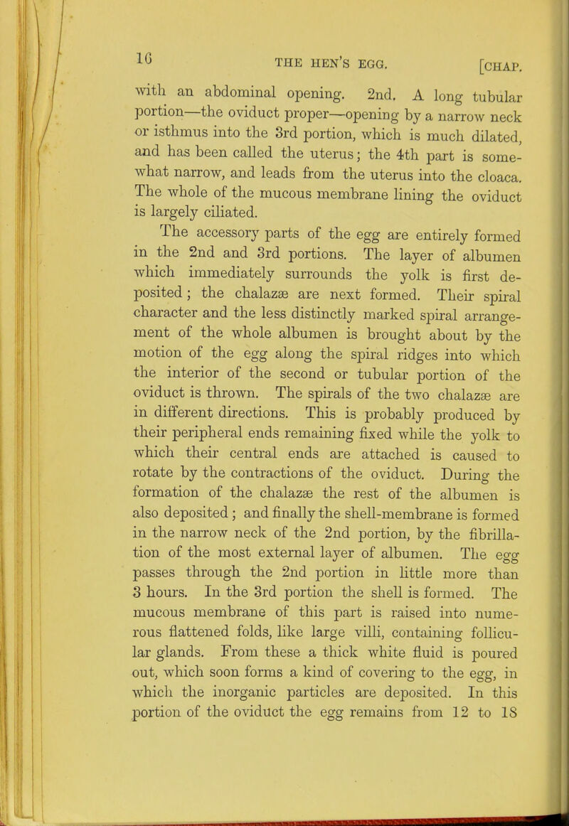 with an abdominal opening. 2nd. A long tubular portion—the oviduct proper—opening by a narrow neck or isthmus into the 3rd portion, which is much dilated, and has been called the uterus; the 4th part is some- what narrow, and leads from the uterus into the cloaca. The whole of the mucous membrane lining the oviduct is largely ciliated. The accessory parts of the egg are entirely formed in the 2nd and 3rd portions. The layer of albumen which immediately surrounds the yolk is first de- posited ; the chalazse are next formed. Their spiral character and the less distinctly marked spiral arrange- ment of the whole albumen is brought about by the motion of the egg along the spiral ridges into which the interior of the second or tubular portion of the oviduct is thrown. The spirals of the two chalazse are in different directions. This is probably produced by their peripheral ends remaining fixed while the yolk to which their central ends are attached is caused to rotate by the contractions of the oviduct. During the formation of the chalazse the rest of the albumen is also deposited; and finally the shell-membrane is formed in the narrow neck of the 2nd portion, by the fibrilla- tion of the most external layer of albumen. The egg passes through the 2nd portion in little more than 3 hours. In the 3rd portion the shell is formed. The mucous membrane of this part is raised into nume- rous flattened folds, like large villi, containing follicu- lar glands. From these a thick white fluid is poured out, which soon forms a kind of covering to the egg, in which the inorganic particles are deposited. In this portion of the oviduct the egg remains from 12 to IS