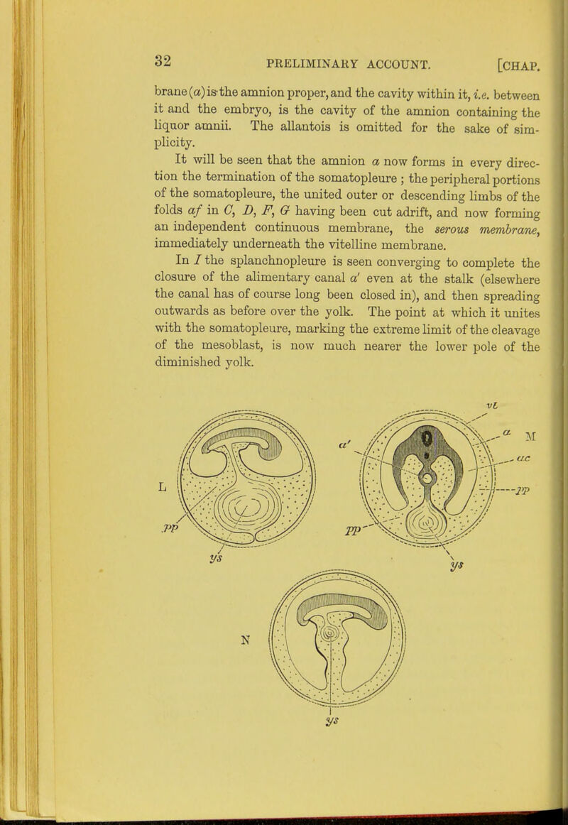 brane(a)isthe amnion proper, and the cavity within it, i.e. between it and the embryo, is the cavity of the amnion containing the liquor amnii. The allantois is omitted for the sake of sim- plicity. It will be seen that the amnion a now forms in every direc- tion the termination of the somatopleure ; the peripheral portions of the somatopleure, the united outer or descending limbs of the folds af in C, D, F, G having been cut adrift, and now forming an independent continuous membrane, the serous membrane, immediately underneath the vitelline membrane. In I the splanchnopleure is seen converging to complete the closure of the alimentary canal a' even at the stalk (elsewhere the canal has of course long been closed in), and then spreading outwards as before over the yolk. The point at which it unites with the somatopleure, marking the extreme limit of the cleavage of the mesoblast, is now much nearer the lower pole of the diminished yolk. ve