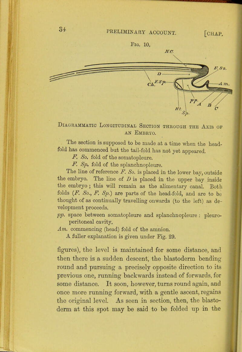 PRELIMINARY ACCOUNT. [CHAP. Fig. 10. Diagrammatic Longitudinal Section through the Axis op The section is supposed to be made at a time when the head- fold has commenced but the tail-fold has not yet appeared. F. So. fold of the somatopleure. F. Sp. fold of the splanchnopleure. The line of reference F. So. is placed in the lower bay, outside the embryo. The line of D is placed in the upper bay inside the embryo ; this will remain as the alimentary canal. Both folds (F. So., F. Sp.) are parts of the head-fold, and are to be thought of as continually travelling onwards (to the left) as de- velopment proceeds. pp. space between somatopleure and splanchnopleure : pleuro- peritoneal cavity. Am. commencing (head) fold of the amnion. A fuller explanation is given under Fig. 29. figures), the level is maintained for some distance, and then there is a sudden descent, the blastoderm bending round and pursuing a precisely opposite direction to its previous one, running backwards instead of forwards, for some distance. It soon, however, turns round again, and once more running forward, with a gentle ascent, regains the original level. As seen in section, then, the blasto- derm at this spot may be said to be folded up in the an Embryo.
