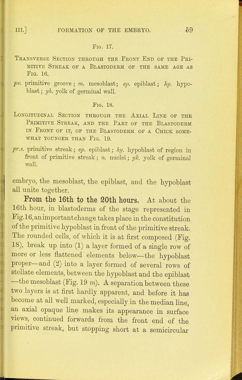 Fig. 17. Transverse Section through the Front End of the Pri- mitive Streak of a Blastoderm of the same age as Fig. 16. pv. primitive groove; m. mesoblast; ep. epiblast; hy. hypo- blast ; yh. yolk of germinal wall. Fig. 18. Longitudinal Section through the Axial Line of the Primitive Streak, and the Part of the Blastoderm in Front of it, of the Blastoderm of a Chick some- what YOUNGER THAN FlG. 19. pr.s. primitive streak; ep. epiblast; hy. hypoblast of region in front of primitive streak; n. nuclei; yt yolk of germinal wall. embryo, the mesoblast, the epiblast, and the hypoblast all unite together. From the 16th to the 20th hours. At about the 16th hour, in blastoderms of the stage represented in Fig.l6,animportantchange takes place in the constitution of the primitive hypoblast in front of the primitive streak. The rounded cells, of which it is at first composed (Fig. 18), break up into (1) a layer formed of a single row of more or less flattened elements below—the hypoblast proper—and (2) into a layer formed of several rows of stellate elements, between the hypoblast and the epiblast —the mesoblast (Fig. 19 m). A separation between these two layers is at first hardly apparent, and before it has become at all well marked, especially in the median line, an axial opaque line makes its appearance in surface views, continued forwards from the front end of the primitive streak, but stopping short at a semicircular