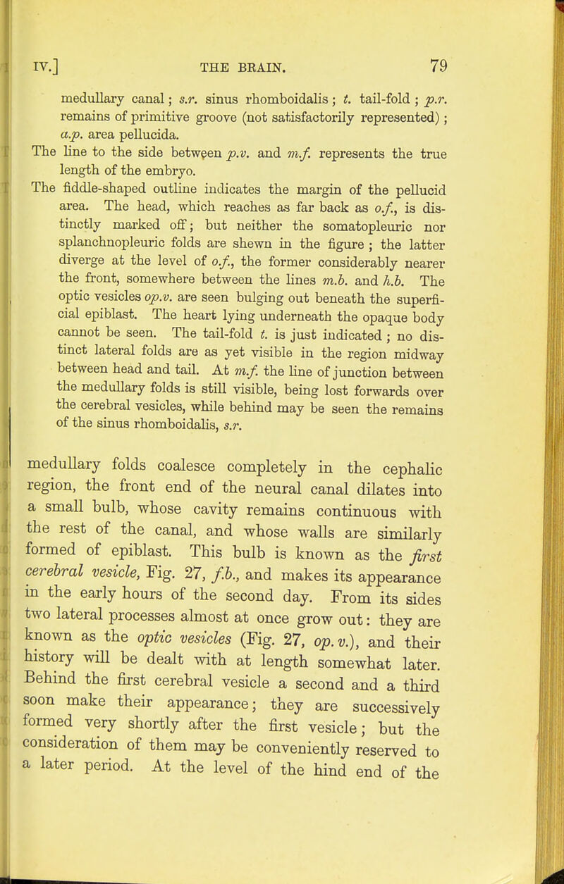 medullary canal; s.r. sinus rhomboidalis; t. tail-fold ; p.r. remains of primitive groove (not satisfactorily represented); a.p. area pellucida. The line to the side between p.v. and m.f. represents the true length of the embryo. The fiddle-shaped outline indicates the margin of the pellucid area. The head, which reaches as far back as o.f., is dis- tinctly marked off; but neither the somatopleuric nor splanchnopleuric folds are shewn in the figure ; the latter diverge at the level of o.f., the former considerably nearer the front, somewhere between the lines m.b. and h.b. The optic vesicles op.v. are seen bulging out beneath the superfi- cial epiblast. The heart lying underneath the opaque body cannot be seen. The tail-fold t. is just indicated; no dis- tinct lateral folds are as yet visible in the region midway between head and tail. At m.f. the line of junction between the medullary folds is still visible, being lost forwards over the cerebral vesicles, while behind may be seen the remains of the sinus rhomboidalis, s.r. medullary folds coalesce completely in the cephalic region, the front end of the neural canal dilates into a small bulb, whose cavity remains continuous with the rest of the canal, and whose walls are similarly formed of epiblast. This bulb is known as the first cerebral vesicle, Fig. 27, f.b., and makes its appearance in the early hours of the second day. From its sides two lateral processes almost at once grow out: they are known as the optic vesicles (Fig. 27, op. v.), and their history will be dealt with at length somewhat later. Behind the first cerebral vesicle a second and a third soon make their appearance; they are successively formed very shortly after the first vesicle; but the consideration of them may be conveniently reserved to a later period. At the level of the hind end of the