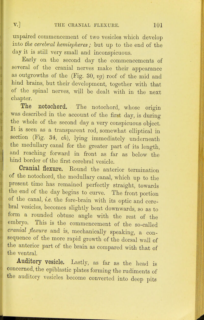 unpaired commencement of two vesicles which develop into the cerebral hemispheres; but up to the end of the day it is still very small and inconspicuous. Early on the second day the commencements of several of the cranial nerves make their appearance as outgrowths of the (Fig. 30, vg) roof of the mid and hind brains, but their development, together with that of the spinal nerves, will be dealt with in the next chapter. The notochord. The notochord, whose origin was described in the account of the first day, is during the whole of the second day a very conspicuous object. It is seen as a transparent rod, somewhat elliptical in section (Fig. 34, ch), lying immediately underneath the medullary canal for the greater part of its length, and reaching forward in front as far as below the hind border of the first cerebral vesicle. Cranial flexure. Round the anterior termination of the notochord, the medullary canal, which up to the present time has remained perfectly straight, towards the end of the day begins to curve. The front portion of the canal, i.e. the fore-brain with its optic and cere- bral vesicles, becomes slightly bent downwards, so as to form a rounded obtuse angle with the rest of the embryo. This is the commencement of the so-called cranial flexure and is, mechanically speaking, a con- sequence of the more rapid growth of the dorsal wall of the anterior part of the brain as compared with that of the ventral. Auditory vesicle. Lastly, as far as the head is concerned, the epiblastic plates forming the rudiments of the auditory vesicles become converted into deep pits