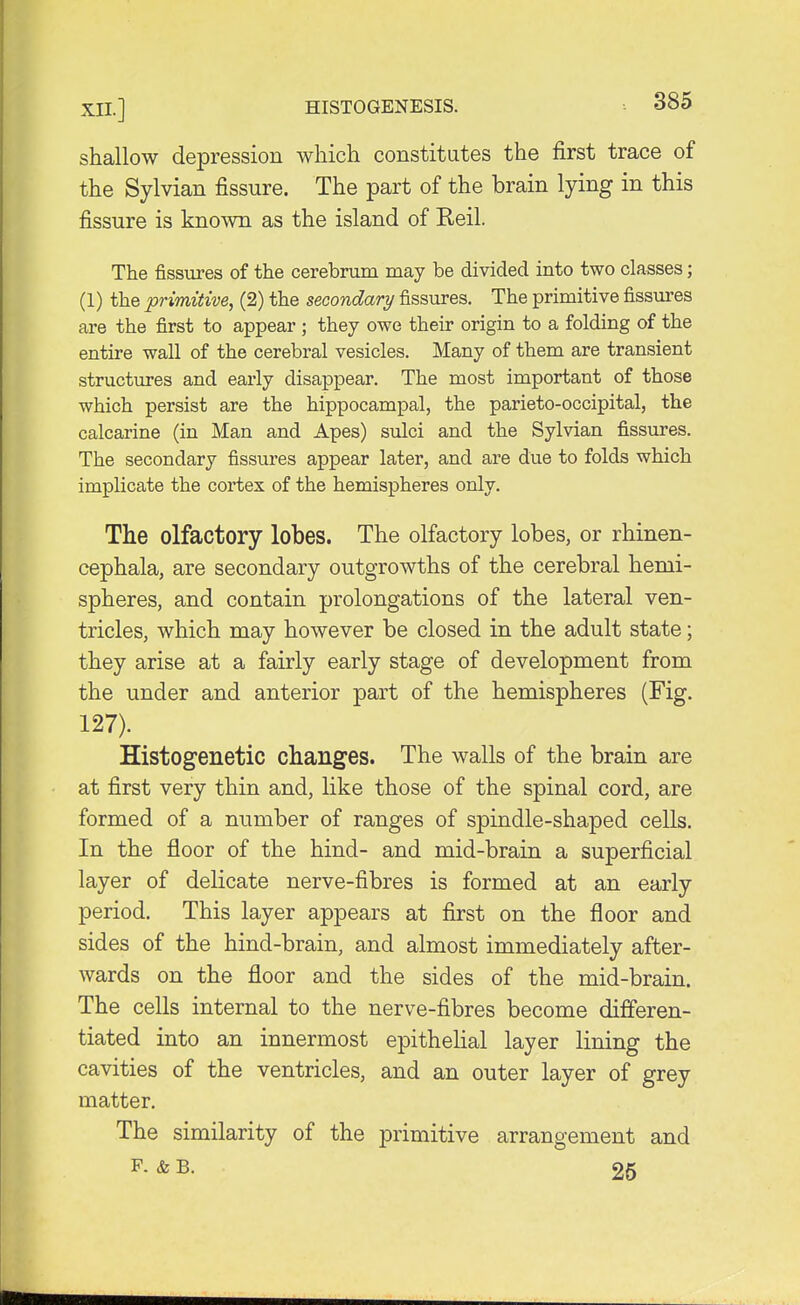 shallow depression which constitutes the first trace of the Sylvian fissure. The part of the brain lying in this fissure is known as the island of Keil. The fissures of the cerebrum may be divided into two classes; (1) the primitive, (2) the secondary fissures. The primitive fissures are the first to appear ; they owe their origin to a folding of the entire wall of the cerebral vesicles. Many of them are transient structures and early disappear. The most important of those which persist are the hippocampal, the parieto-occipital, the calcarine (in Man and Apes) sulci and the Sylvian fissures. The secondary fissures appear later, and are due to folds which implicate the cortex of the hemispheres only. The olfactory lobes. The olfactory lobes, or rhinen- cephala, are secondary outgrowths of the cerebral hemi- spheres, and contain prolongations of the lateral ven- tricles, which may however be closed in the adult state; they arise at a fairly early stage of development from the under and anterior part of the hemispheres (Fig. 127). Histogenetic changes. The walls of the brain are at first very thin and, like those of the spinal cord, are formed of a number of ranges of spindle-shaped cells. In the floor of the hind- and mid-brain a superficial layer of delicate nerve-fibres is formed at an early period. This layer appears at first on the floor and sides of the hind-brain, and almost immediately after- wards on the floor and the sides of the mid-brain. The cells internal to the nerve-fibres become differen- tiated into an innermost epithelial layer lining the cavities of the ventricles, and an outer layer of grey matter. The similarity of the primitive arrangement and P. & B. 25