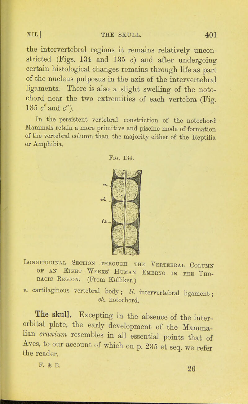 the intervertebral regions it remains relatively uncon- stricted (Figs. 134 and 135 c) and after undergoing certain histological changes remains through life as part of the nucleus pulposus in the axis of the intervertebral ligaments. There is also a slight swelling of the noto- chord near the two extremities of each vertebra (Fig. 135 c and c). In the persistent vertebral constriction of the notochord Mammals retain a more primitive and piscine mode of formation of the vertebral column than the majority either of the Eeptilia or Amphibia. Fig. 134. Longitudinal Section through the Vertebral Column op an Eight Weeks' Human Embryo in the Tho- racic Eegion. (From Kolliker.) v. cartilaginous vertebral body; U. intervertebral ligament; eh. notochord. The skull. Excepting in the absence of the inter- orbital plate, the early development of the Mamma- lian cranium resembles in all essential points that of Aves, to our account of which on p. 235 et seq. we refer the reader. F. & b. 26