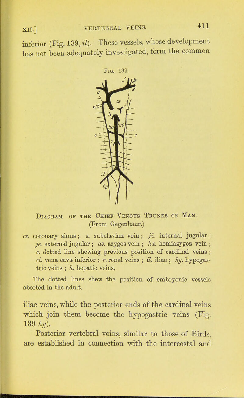 XIL] VERTEBRAL VEINS. *H inferior (Fig. 139, il). These vessels, whose development has not been adequately investigated, form the common Diagram of the Chief Venous Trunks of Man. cs. coronary sinus ; s. subclavian vein; ji. internal jugular ; je. external jugular; az. azygos vein ; ha. hemiazygos vein ; c. dotted line shewing previous position of cardinal veins ; ci. vena cava inferior ; r. renal veins ; il. iliac ; hy. hypogas- tric veins ; h. hepatic veins. The dotted lines shew the position of embryonic vessels aborted in the adult. iliac veins, while the posterior ends of the cardinal veins which join them become the hypogastric veins (Fig. 139 hy). Posterior vertebral veins, similar to those of Birds, are established in connection with the intercostal and Fig. 139. (From Gegenbaur.)