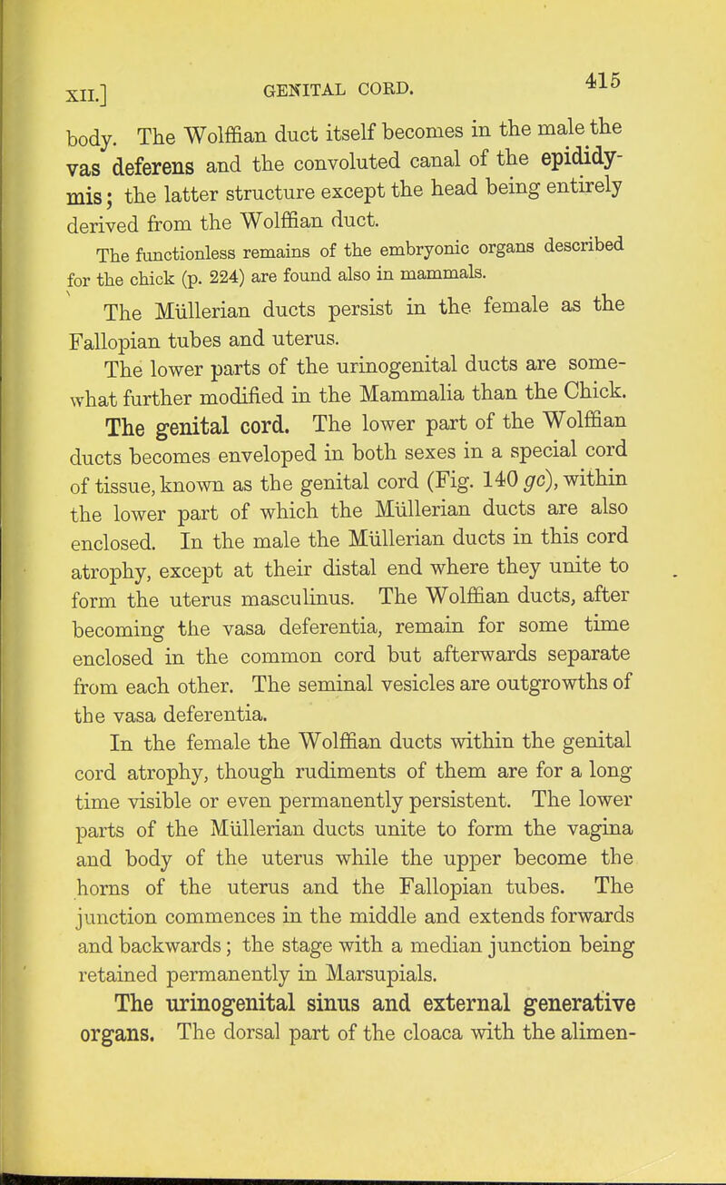 body. The Wolffian duct itself becomes in the male the vas deferens and the convoluted canal of the epididy- mis; the latter structure except the head being entirely derived from the Wolffian duct. The functionless remains of the embryonic organs described for the chick (p. 224) are found also in mammals. The Mullerian ducts persist in the female as the Fallopian tubes and uterus. The lower parts of the urinogenital ducts are some- what further modified in the Mammalia than the Chick. The genital cord. The lower part of the Wolffian ducts becomes enveloped in both sexes in a special cord of tissue, known as the genital cord (Fig. 140 go), within the lower part of which the Mullerian ducts are also enclosed. In the male the Mullerian ducts in this cord atrophy, except at their distal end where they unite to form the uterus masculinus. The Wolffian ducts, after becoming the vasa deferentia, remain for some time enclosed in the common cord but afterwards separate from each other. The seminal vesicles are outgrowths of the vasa deferentia. In the female the Wolffian ducts within the genital cord atrophy, though rudiments of them are for a long time visible or even permanently persistent. The lower parts of the Mullerian ducts unite to form the vagina and body of the uterus while the upper become the horns of the uterus and the Fallopian tubes. The junction commences in the middle and extends forwards and backwards; the stage with a median junction being retained permanently in Marsupials. The urinogenital sinus and external generative organs. The dorsal part of the cloaca with the alimen-