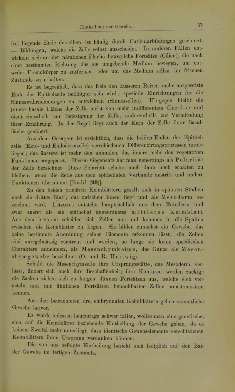 EintheiluDg der Gewebe. frei liegende Ende derselben ist häufig durch Cuticularbildungen geschützt, — Bildungen, welche die Zelle selbst ausscheidet. In anderen Fällen ent- wickeln sich an der nämlichen Fläche bewegliche Fortsätze (Cilien), die nach einer bestimmten Kichtung das sie umgebende Medium bewegen, um ent- weder Fremdkörper zu entfernen, oder um das Medium selbst im frischen Zustande zu erhalten. Es ist begreiflich, dass das freie den äusseren Reizen mehr ausgesetzte Ende der Epithelzelle befähigter sein wird, spezielle Einrichtungen für die Sinneswahrnehmungen zu entwickeln (Sinneszellen). Hingegen bleibt die innere basale Fläche der Zelle meist von mehr indifierentem Charakter und dient einestheils zur Befestigung der Zelle, anderentheils zur Vermittelung ihrer Ernährung. In der Regel liegt auch der Kern der Zelle ihrer Basal- fläche genähert. Aus dem Gesagten ist ersichtlich, dass die beiden Enden der Epithel- zelle (Ekto- und Endodermzelle) verschiedenen Differenzirungsprozessen unter- liegen; das äussere ist mehr den animalen, das innere mehr den vegetativen Funktionen angepasst. Diesen Gegensatz hat man neuerdings als Polarität der Zelle bezeichnet Diese Polarität scheint auch dann noch erhalten zu bleiben, wenn die Zelle aus dem epithelialen Verbände austritt und andere Funktionen übernimmt [Rabl (90)]. Zu den beiden primären Keimblättern gesellt sich in späteren Stadien noch ein drittes Blatt, das zwischen ihnen liegt und als M e s o d e r m be- zeichnet wird. Letzteres entsteht hauptsächlich aus dem Entoderm und zwar zuerst als ein epithelial angeordnetes mittleres Keimblatt. Aus dem letzteren scheiden sich Zellen aus und kommen in die Spalten zwischen die Keimblätter zu liegen. Sie bilden zunächst ein Gewebe, das keine bestimmte Anordnung seiner Elemente erkennen lässt; die Zellen sind unregelmässig zerstreut und werden, so lange sie keine specifischen Charaktere annehmen, als Mesenchymkeime, das Ganze als Mesen- chymgewebe bezeichnet (0. und R. Hertwig). Sobald die Mesenchymzelle ihre Ursprungsstätte, das Mesoderm, ver- lässt, ändert sich auch ihre Beschaffenheit; ihre Konturen werden zackig; die Zacken ziehen sich zu langen dünnen Fortsätzen aus, welche sich ver- ästeln und mit ähnlichen Fortsätzen benachbarter Zellen anastomosiren können. Aus den betrachteten drei embryonalen Keimblättern gehen sämmtliche Gewebe hervor. Es würde indessen heutzutage schwer fallen, wollte man eine genetische, sich auf die Keimblätter beziehende Eintheilung der Gewebe geben, da es keinem Zweifel mehr unterliegt, dass identische Gewebselemente verschiedenen Keimblättern ihren Ursprung verdanken können. Die von uns befolgte Eintheilung bezieht sich lediglich auf den Bau der Gewebe im fertigen Zustande.