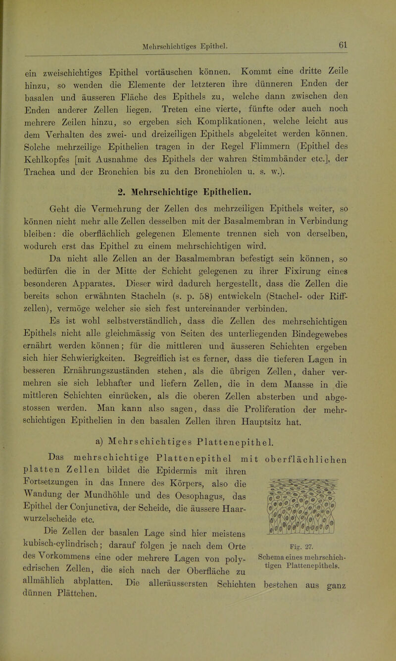 ein zweischichtiges Epithel vortäuschen können. Kommt eine dritte Zeile hinzu, so wenden die Elemente der letzteren ihre dünneren Enden der basalen und äusseren Fläche des Epithels zu, welche dann zwischen den Enden anderer Zellen liegen. Treten eine vierte, fünfte oder auch noch mehrere Zeilen hinzu, so ergeben sich Komplikationen, welche leicht aus dem Verhalten des zwei- und dreizeiligen Epithels abgeleitet werden können. Solche mehrzellige Epilhelien tragen in der Regel Flimmern (Epithel des Kehlkopfes [mit Ausnahme des Epithels der wahren Stimmbänder etc.], der Trachea und der Bronchien bis zu den Bronchiolen u. s. w.). 2. Mehrschichtige Epithelien. Geht die Vermehrung der Zellen des mehrzelligen Epithels weiter, so können nicht mehr alle Zellen desselben mit der Basalmembran in Verbindung bleiben: die oberflächlich gelegenen Elemente trennen sich von derselben, wodurch erst das Epithel zu einem mehrschichtigen wird. Da nicht alle Zellen an der Basalmembran befestigt sein können, so bedürfen die in der Mitte der Schicht gelegenen zu ihrer Fixirung eines besonderen Apparates. Dieser wird dadurch hergestellt, dass die Zellen die bereits schon erwähnten Stacheln (s. p. 58) entwickeln (Stachel- oder Riff- zellen), vermöge welcher sie sich fest untereinander verbinden. Es ist wohl selbstverständlich, dass die Zellen des mehrschichtigen Epithels nicht alle gleichmässig von Seiten des unterliegenden Bindegewebes ernährt werden können; für die mittleren und äusseren Schichten ergeben sich hier Schwierigkeiten. Begreiflich ist es ferner, dass die tieferen Lagen in besseren Ernährungszuständen stehen, als die übrigen Zellen, daher ver- mehren sie sich lebhafter und liefern Zellen, die in dem Maasse in die mittleren Schichten einrücken, als die oberen Zellen absterben und abge- stossen werden. Man kann also sagen, dass die Proliferation der mehr- schichtigen Epithelien in den basalen Zellen ihren Hauptsitz hat. a) Mehrschichtiges Plattenepithel. Das mehrschichtige Plattenepithel mit oberflächlichen platten Zellen bildet die Epidermis mit ihren Fortsetzungen in das Innere des Körpers, also die Wandung der Mundhöhle und des Oesophagus, das Epithel der Conjunctiva, der Scheide, die äussere Haar- wurzelscheide etc. Die Zellen der basalen Lage sind hier meistens kubisch-cylindrisch; darauf folgen je nach dem Orte Fi-. 27. des Vorkommens eine oder mehrere Lagen von poly- Schema eines mehrscMch- edrischen Zellen, die sich nach der Oberfläche zu Plattenepithels. allmählich abplatten. Die alleräussersten Schichten bestehen aus ganz dünnen Plättchen.