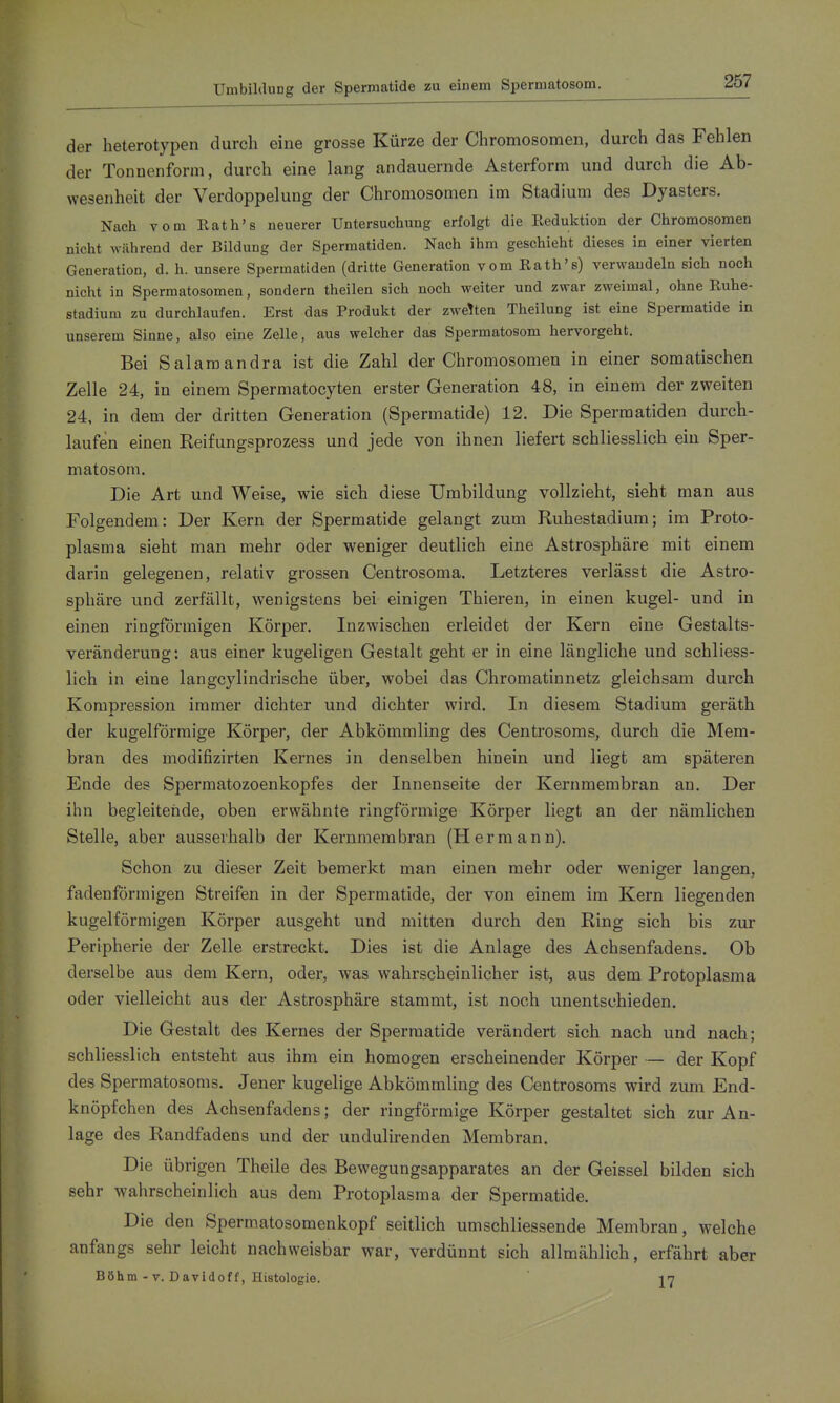 Umbildung der Spermatide zu einem Spermatosom. der heterotypen durch eine grosse Kürze der Chromosomen, durch das Fehlen der Tonnenform, durch eine lang andauernde Asterform und durch die Ab- wesenheit der Verdoppelung der Chromosomen im Stadium des Dyasters. Nach vom Rath's neuerer Untersuchung erfolgt die Redulction der Chromosomen nicht während der Bildung der Spermatiden. Nach ihm geschieht dieses in einer vierten Generation, d. h. unsere Spermatiden (dritte Generation vom Eath's) verwandeln sich noch nicht in Spermatosomen, sondern theilen sich noch weiter und zwar zweimal, ohne Ruhe- stadium zu durchlaufen. Erst das Produkt der zweiten Theilung ist eine Spermatide in unserem Sinne, also eine Zelle, aus welcher das Spermatosom hervorgeht. Bei Salamandra ist die Zahl der Chromosomen in einer somatischen Zelle 24, in einem Spermatocyten erster Generation 48, in einem der zweiten 24, in dem der dritten Generation (Spermatide) 12. Die Sperraatiden durch- laufen einen Keifungsprozess und jede von ihnen liefert schliesslich ein Sper- matosom. Die Art und Weise, wie sich diese Umbildung vollzieht, sieht man aus Folgendem: Der Kern der Spermatide gelangt zum Ruhestadium; im Proto- plasma sieht man mehr oder weniger deutlich eine Astrosphäre mit einem darin gelegenen, relativ grossen Centrosoma. Letzteres verlässt die Astro- sphäre und zerfällt, wenigstens bei einigen Thieren, in einen kugel- und in einen ringförmigen Körper. Inzwischen erleidet der Kern eine Gestalts- veränderung: aus einer kugeligen Gestalt geht er in eine längliche und schliess- lich in eine langcylindrische über, wobei das Chromatinnetz gleichsam durch Kompression immer dichter und dichter wird. In diesem Stadium geräth der kugelförmige Körper, der Abkömmling des Centrosoms, durch die Mem- bran des modifizirten Kernes in denselben hinein und liegt am späteren Ende des Spermatozoenkopfes der Innenseite der Kernmembran an. Der ihn begleitende, oben erwähnte ringförmige Körper liegt an der nämlichen Stelle, aber ausserhalb der Kernmembran (Hermann). Schon zu dieser Zeit bemerkt man einen mehr oder weniger langen, fadenförmigen Streifen in der Spermatide, der von einem im Kern liegenden kugelförmigen Körper ausgeht und mitten durch den Ring sich bis zur Peripherie der Zelle erstreckt. Dies ist die Anlage des Achsenfadens. Ob derselbe aus dem Kern, oder, was wahrscheinlicher ist, aus dem Protoplasma oder vielleicht aus der Astrosphäre stammt, ist noch unentschieden. Die Gestalt des Kernes der Spermatide verändert sich nach und nach; schliesslich entsteht aus ihm ein homogen erscheinender Körper — der Kopf des Spermatosoms. Jener kugelige Abkömmling des Centrosoms wird zimi End- knöpfchen des Achsenfadens; der ringförmige Körper gestaltet sich zur An- lage des Randfadens und der undulirenden Membran. Die übrigen Theile des Bewegungsapparates an der Geissei bilden sich sehr wahrscheinlich aus dem Protoplasma der Spermatide. Die den Spermatosomenkopf seitlich umschliessende Membran, welche anfangs sehr leicht nachweisbar war, verdünnt sich allmählich, erfährt aber Böhm - v. Davidoff, Histologie. 17