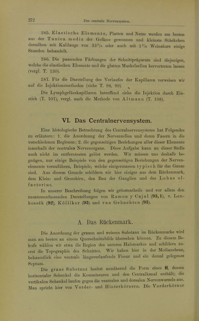 Das centrale Nervensystem. 285. Elastische Elemente, Platten und Netze werden am besten aus der Tuuica media der Gefdsse gewonnen und kleinste Stückchen derselben mit Kalilauge von 33^/0 oder auch mit l/o Weinsäure einige Stunden behandelt. 286. Die passenden Färbungen der Schnittpräparate sind diejenigen, welche die elastischen Elemente und die glatten Muskelzellen hervortreten lassen (vergl. T. 130). 287. Für die Darstellung des Verlaufes der Kapillaren verweisen wir auf die Injektionsmethoden (siehe T. 98, 99). ^ Die Lymphgefässkapillaren betreffend siehe die Injektion durch Ein- stich (T. 107), vergl. auch die Methode von Altmann (T. 108). VI. Das Centrainervensystem. Eine histologische Betrachtung des Central nerven Systems hat Folgendes zu erläutern: 1. die Anordnung der Nervenzellen und deren Fasern in die verschiedenen Regionen; 2. die gegenseitigen Beziehungen aller dieser Elemente innerhalb der centralen Nervenorgane. Diese Aufgabe kann an dieser Stelle auch nicht im entferntesten gelöst werden. Wir müssen uns deshalb be- gnügen, nur einige Beispiele von den gegenseitigen Beziehungen der Nerven- elemente vorzuführen, Beispiele, welche einigermassen typisch für das Ganze sind. Aus diesem Grunde schildern wir hier einiges aus dem Rückenmark, dem Klein- und Grosshirn, den Bau der Ganglien und des Lobus ol- factorius. In unserer Beschreibung folgen wir grösstentheils und vor allem den zusammenfassenden Darstellungen von Ramon y Cajal (93,1), v. Len- hoss^k (92), Kölliker (93) und van Gebuchten (93). A. Das Rückenmark. Die Anordnung der grauen und weissen Substanz im Rückenmarke wird man am besten an einem Querschnittsbilde übersehen können. Zu diesem Be- hufe wählen wir etwa die Region des unteren Halsmarkes und schildern zu- erst die Topographie des Schnittes. Wir haben hier in der Medianebene, bekanntlich eine ventrale längsverlaufende Fissur und ein dorsal gelegenes Septum. Die graue Substanz besitzt annähernd die Form eines H, dessen horizontaler Schenkel die Kommissuren und den Centraikanal enthält; die vertikalen Schenkel laufen gegen die ventralen und dorsalen Nervenwurzeln aus. Man spricht hier von Vorder- und Hinterhörnern. Die Vorderhörner