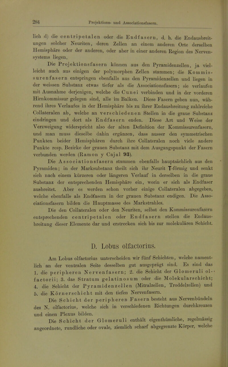 lieh d) die centripetalen oder die Endfasern, d. h. die Endausbreit- ungen solcher Neuriten, deren Zellen an einem anderen Orte derselben Hemisphäre oder der anderen, oder aber in einer anderen Region des Nerven- systems liegen. Die Projektionsfasern können aus den Pyramidenzellen, ja viel- leicht auch aus einigen der polymorphen Zellen stammen; die Kommis- suren fasern entspringen ebenfalls aus den Pyramidenzellen und liegen in der weissen Substanz etwas tiefer als die Associationsfasern; sie verlaufen mit Ausnahme derjenigen, welche die Cunei verbinden und in der vorderen Hirnkommissur gelegen sind, alle im Balken. Diese Fasern geben nun, wäh- rend ihres Verlaufes in der Hemisphäre bis zu ihrer Endausbreitung zahlreiche Collateralen ab, welche an verschiedenen Stellen in die graue Substanz eindringen und dort als Endfasern enden. Diese Art und Weise der Verzweigung widerspricht also der alten Definition der Kommissurenfasern, und man muss dieselbe dahin ergänzen, dass ausser den symmetrischen Punkten beider Hemisphären durch ihre Collateralen noch viele andere Punkte resp. Bezirke der grauen Substanz mit dem Ausgangspunkt der Fasern verbunden werden (Ramon y Cajal 93). Die Associationsfasern stammen ebenfalls hauptsächlich aus den Pyramiden; in der Marksubstanz theilt sich ihr Neurit T-förmig und senkt sich nach einem kürzeren oder längeren Verlauf in derselben in die graue Substanz der entsprechenden Hemisphäre ein, worin er sich als Endfaser ausbreitet. Aber es werden schon vorher einige Collateralen abgegeben, welche ebenfalls als Endfasern in der grauen Substanz endigen. Die Asso- ciationsfasern bilden die Hauptmasse des Markstrahles. Die den Collateralen oder den Neuriten, selbst den Kommissurenfasern entsprechenden centripetalen oder Endfasern stellen die Endaus- breitung dieser Elemente dar und erstrecken sich bis zur molekulären Schicht. D. Lobus olfactorius. Am Lobus olfactorius unterscheiden wir fünf Schichten, weiche nament- lich an der ventralen Seite desselben gut ausgeprägt sind. Es sind das 1, die peripheren Nervenfasern; 2. die Schicht der Glomeruli ol-- factorii; 3. das Stratum gelatinosum oder die Molekularschicht; 4. die Schicht der Pyramidenzellen (Mitralzellen, Troddelzellen) und 5. die Körn er Schicht mit den tiefen Nervenfasern. Die Schicht der peripheren Fasern besteht aus Nervenbündeln des N. olfactorius, welche sich in verschiedenen Richtungen durchkreuzen und einen Plexus bilden. Die Schicht der Glomeruli enthält eigenthümliche, regelmässig angeordnete, rundliche oder ovale, ziemlich scharf abgegrenzte Körper, welche