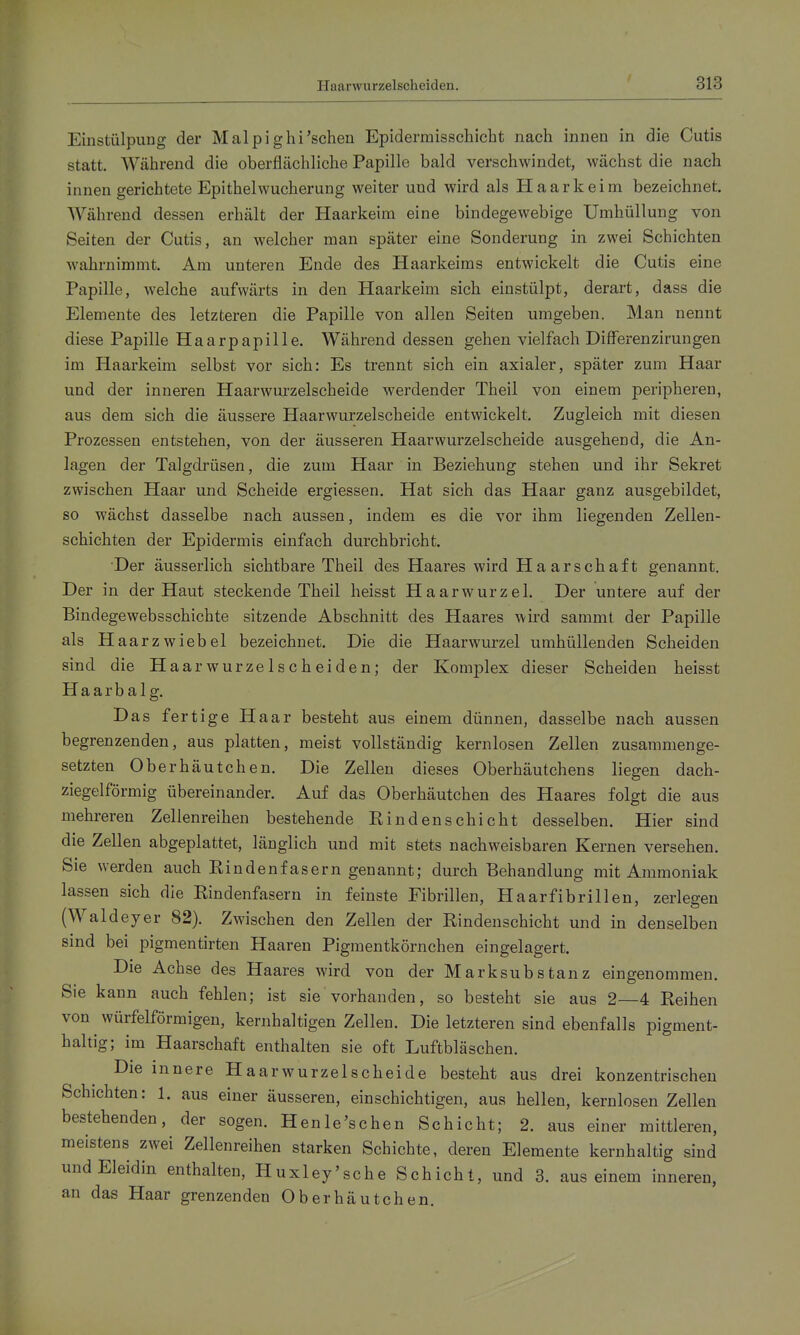 Einstülpung der Malpighi'scheu Epidermisschicht nach innen in die Cutis statt. Während die oberflächliche Papille bald verschwindet, wächst die nach innen gerichtete Epithelwucherung weiter und wird als E[ aar keim bezeichnet. Während dessen erhält der Haarkeira eine bindegewebige Umhüllung von Seiten der Cutis, an welcher man später eine Sonderung in zwei Schichten wahrnimmt. Am unteren Ende des Haarkeiras entwickelt die Cutis eine Papille, welche aufwärts in den Haarkeim sich einstülpt, derart, dass die Elemente des letzteren die Papille von allen Seiten umgeben. Man nennt diese Papille Haarpapille. Während dessen gehen vielfach Differenzirungen im Haarkeim selbst vor sich: Es trennt sich ein axialer, später zum Haar und der inneren Haarwurzelscheide werdender Theil von einem peripheren, aus dem sich die äussere Haarwurzelscheide entwickelt. Zugleich mit diesen Prozessen entstehen, von der äusseren Haarwurzelscheide ausgehend, die An- lagen der Talgdrüsen, die zum Haar in Beziehung stehen und ihr Sekret zwischen Haar und Scheide ergiessen. Hat sich das Haar ganz ausgebildet, so wächst dasselbe nach aussen, indem es die vor ihm liegenden Zellen- schichten der Epidermis einfach durchbricht. Der äusserlich sichtbare Theil des Haares wird Haarschaft genannt. Der in der Haut steckende Theil heisst Haarwurzel. Der untere auf der Bindegewebsschichte sitzende Abschnitt des Haares wird sammt der Papille als Haarzwiebel bezeichnet. Die die Haarwurzel umhüllenden Scheiden sind die Haarwurzelscheiden; der Komplex dieser Scheiden heisst Haarbalg. Das fertige Haar besteht aus einem dünnen, dasselbe nach aussen begrenzenden, aus platten, meist vollständig kernlosen Zellen zusammenge- setzten Oberhäutchen. Die Zellen dieses Oberhäutchens liegen dach- ziegelförmig übereinander. Auf das Oberhäutchen des Haares folgt die aus mehreren Zelienreihen bestehende Kindenschicht desselben. Hier sind die Zellen abgeplattet, länglich und mit stets nachweisbaren Kernen versehen. Sie werden auch Rindenfasern genannt; durch Behandlung mit Ammoniak lassen sich die Rindenfasern in feinste Fibrillen, Haarfibrillen, zerlegen (Waldeyer 82). Zwischen den Zellen der Rindenschicht und in denselben sind bei pigmentirten Haaren Pigmentkörnchen eingelagert. Die Achse des Haares wird von der Marksubstanz eingenommen. Sie kann auch fehlen; ist sie vorhanden, so besteht sie aus 2—4 Reihen von würfelförmigen, kernhaltigen Zellen. Die letzteren sind ebenfalls pigment- haltig; im Haarschaft enthalten sie oft Luftbläschen. Die innere Haarwurzelscheide besteht aus drei konzentrischen Schichten: 1. aus einer äusseren, einschichtigen, aus hellen, kernlosen Zellen bestehenden, der sogen. Henle'schen Schicht; 2. aus einer mittleren, meistens zwei Zellenreihen starken Schichte, deren Elemente kernhaltig sind undEleidin enthalten, Huxley'sche Schicht, und 3. aus einem inneren, an das Haar grenzenden Oberhäutchen.