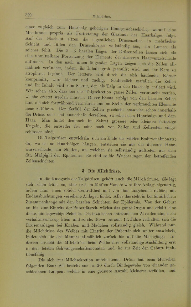 Milchdrüse. einer zugleich zum Haarbalg gehörigen Bindegewebsschicht, worauf eine Membrana propria als Fortsetzung der Glashaufc des Haarbalges folgt Auf der Glashaut sitzen die eigentlichen Drüsenzellen in mehrfacher Schicht und füllen den Drüsenkörper vollständig aus, ein Lumen als solches fehlt. Die 2-3 basalen Lagen der Drüsenzellen lassen sich als eme unmittelbare Fortsetzung der Elemente der äusseren Haarwurzelscheide auffassen. In den nach innen folgenden Lagen zeigen sich die Zellen all- mählich verändert, indem ihr Inhalt grob granulirt wird und ihr Kern zu atrophiren beginnt. Der letztere wird durch die sich häufenden Körner komprimirt, wird kleiner und zackig. Schliesslich zerfallen die Zellen und ihr Inhalt wird zum Sekret, der als Talg in den Haarbalg entleert wird. Wir sehen also, dass bei der Talgsekretion ganze Zellen verbraucht werden, welche ersetzt werden müssen. Dieser Ersatz erfolgt von den basalen Zellen aus, die sich fortwährend vermehren und an Stelle der verbrauchten Elemente neue zuführen. Der Zerfall der Zellen geschieht entweder schon innerhalb der Drüse, oder erst ausserhalb derselben, zwischen dem Haarbalge und dem Haar. Man findet demnach im Sekret grössere oder kleinere fettartige Kugeln, die entweder frei oder noch von Zellen und Zellresten einge- schlossen sind. Die Talgdrüsen entwickeln sich am Ende des vierten Embryonalmonats; da, wo sie an Haarbälgen hängen, entstehen sie aus der äusseren Haar- wurzelscheide; an Stellen, an welchen sie selbständig auftreten aus dem Str. Malpighi der Epidermis. Es sind solide Wucherungen der betreffenden Zellenschichten. 3. Die Milchdrüse. In die Kategorie der Talgdrüsen gehört auch die Milchdrüse. Sie legt sich schon frühe an, aber erst im fünften Monate wird ihre Anlage eigenartig, indem man einen soliden Centraltheil und von ihm ausgehende radiäre, mit Endausbuchtungen versehene Anlagen findet. Alles das steht in kontinuirlichem Zusammenhange mit den basalen Schichten der Epidermis. Von der Geburt an bis zum Eintritt der Pubertätszeit wächst das ganze Organ und erhält eine dicke, bindegewebige Scheide. Die inzwischen entstandenen Alveolen sind noch verhältnissmässig klein und solide. Etwa bis zum 14. Jahre verhalten sich die Drüsenanlagen bei Knaben und Mädchen vollständig gleich. Während nun die Milchdrüse des Weibes mit Eintritt der Pubertät sich weiter entwickelt, bildet sich die des Mannes allmählich zurück bis auf die Milchgänge. In- dessen erreicht die Milchdrüse beim Weibe ihre vollständige Ausbildung erst in den letzten Schwangerschaftsmonaten und ist zur Zeit der Geburt funk- tionsfähig. Die sich zur Milchsekretion anschickende Drüse hat beim Menschen folgenden Bau: Sie besteht aus ca. 20 durch Bindegewebe von einander ge- schiedenen Lappen, welche in eine grössere Anzahl kleinerer zerfallen, und