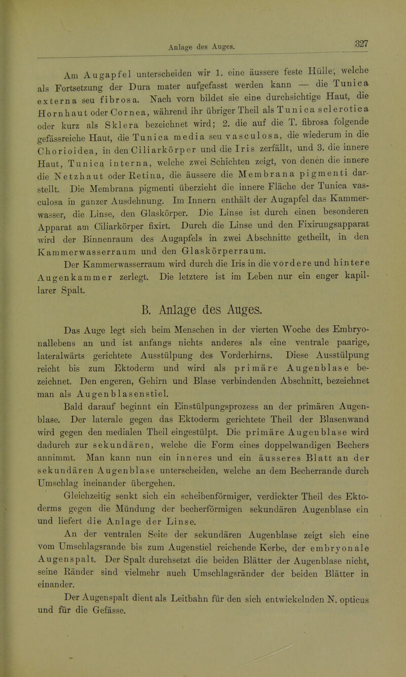 Anlage des Auges. Am Augapfel unterscheiden wir 1. eine äussere feste Hülle; welche als Fortsetzung der Dura mater aufgefasst werden kann — die Tuuica externa seu fibrosa. Nach vorn bildet sie eine durchsichtige Haut, die Hornhaut oder Cornea, während ihr übriger Theil alsTunica sclerotica oder kurz als Sklera bezeichnet wird; 2. die auf die T. fibrosa folgende gefössreiche Haut, die Tunica media seu vasculosa, die wiederum in die Chorioidea, in den Ciliarkörper und die Iris zerfällt, und 3. die innere Haut, Tunica interna, welche zwei Schichten zeigt, von denen die innere die Netzhaut oder Retina, die äussere die Membrana pigmenti dar- stellt. Die Membrana pigmenti überzieht die innere Fläche der Tunica vas- culosa in ganzer Ausdehnung. Im Innern enthält der Augapfel das Kammer- wasser, die Linse, den Glaskörper. Die Linse ist durch einen besonderen Apparat am Ciliarkörper fixirt. Durch die Linse und den Fixiruugsapparat wird der Binnenraum des Augapfels in zwei Abschnitte getheilt, in den Kammerwasserraum und den Glaskörperraum. Der Kammerwasserraum wird durch die Ii'is in die vordere und hintere Augen kämm er zerlegt. Die letztere ist im Leben nur ein enger kapil- larer Spalt. B. Anlage des Auges. Das Auge legt sich beim Menschen in der vierten Woche des Embryo- nallebens an und ist anfangs nichts anderes als eine ventrale paarige, lateralwärts gerichtete Ausstülpung des Vorderhirns. Diese Ausstülpung reicht bis zum Ektoderm und wird als primäre Augeublase be- zeichnet. Den engeren, Gehirn und Blase verbindenden Abschnitt, bezeichnet man als Augenblasenstiel. Bald darauf beginnt ein Einstülpungsprozess an der primären Augen- blase. Der laterale gegen das Ektoderm gerichtete Theil der Blasenwand wird gegen den medialen Theil eingestülpt. Die primäre Augen blase wird dadurch zur sekundären, welche die Form eines doppelwandigen Bechers annimmt. Man kann nun ein inneres und ein äusseres Blatt an der sekundären Augenblase unterscheiden, welche an dem Becherrande durch Umschlag ineinander übergehen. Gleichzeitig senkt sich ein scheibenförmiger, verdickter Theil des Ekto- derms gegen die Mündung der becherförmigen sekundären Augenblase ein und liefert die Anlage der Linse. An der ventralen Seite der sekundären Augenblase zeigt sich eine vom Umschlagsrande bis zum Augenstiel reichende Kerbe, der embryonale Augenspalt. Der Spalt durchsetzt die beiden Blätter der Augenblase nicht, seine Ränder sind vielmehr auch Umschlagsränder der beiden Blätter in einander. Der Augenspalt dient als Leitbahn für den sich entwickelnden N. opticus und für die Gefässe.