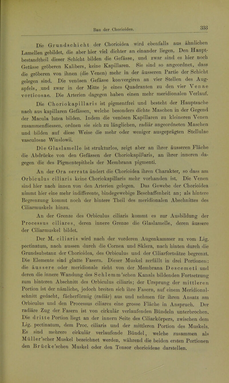 Bau der Chorioidea. Die Grundschicht der Chorioidea wird ebenfalls aus ähnlichen Lamellen gebildet, die aber hier viel dichter an einander liegen. Den Haupt- bestandtheil dieser Schicht bilden die Gefässe, und zwar sind es hier noch Getässe gröberen Kalibers, keine Kapillaren. Sie sind so angeordnet, dass die gröberen von ihnen (die Venen) mehr in der äusseren Partie der Schicht gelegen sind. Die venösen Gefässe konvergiren an vier Stellen des Aug- apfels, und zwar in der Mitte je eines Quadranten zu den vier Venae vorticosae. Die Arterien dagegen haben einen mehr meridionalen Verlauf. Die Choriokapillaris ist pigmentfrei und besteht der Hauptsache nach aus kapillaren Gefässen, welche besonders dichte Maschen in der Gegend der Macula lutea bilden. Indem die venösen Kapillaren zu kleineren Venen zusammenfliessen, ordnen sie sich zu länglichen, radiär angeordneten Maschen und bilden auf diese Weise die mehr oder weniger ausgeprägten Stellulae vasculosae Winslowii. Die Glaslamelle ist strukturlos, zeigt aber an ihrer äusseren Fläche die Abdrücke von den Gefässen der Choriokapillaris, an ihrer inneren da- gegen die des Pigraentepithels der Membrana pigmenti. An der Ora serrata ändert die Chorioidea ihren Charakter, so dass am Orbiculus ciliaris keine Choriokapillaris mehr vorhanden ist. Die Venen sind hier nach innen von den Arterien gelegen. Das Gewebe der Chorioidea nimmt hier eine mehr indifferente, bindegewebige Beschaffenheit an; als hintere Begrenzung kommt noch der hintere Theil des meridionalen Abschnittes des Ciliarmuskels hinzu. An der Grenze des Orbiculus ciliaris kommt es zur Ausbildung der Processus ciliares, deren innere Grenze die Glaslamelle, deren äussere der Ciliarmuskel bildet. Der M. ciliaris wird nach der vorderen Augenkammer zu vom Lig. pectinatum, nach aussen durch die Cornea und Sklera, nach hinten durch die Grundsubstauz der Chorioidea, des Orbiculus und der Ciliarfortsätze begrenzt. Die Elemente sind glatte Fasern. Dieser Muskel zerfällt in drei Portionen: die äussere oder meridionale zieht von der Membrana Descemeti und deren die innere Wandung des Schlemm'sehen Kanals bildenden Fortsetzung zum hinteren Abschnitt des Orbiculus ciliaris; der Ursprung der mittleren Portion ist der nämliche, jedoch breiten sich ihre Fasern, auf einem Meridional- schnitt gedacht, fächerförmig (radiär) aus und nehmen für ihren Ansatz am Orbiculus und den Processus ciliares eine grosse Fläche in Anspruch. Der radiäre Zug der Fasern ist von cirkulär verlaufenden Bündeln unterbrochen. Die dritte Portion liegt an der innern Seite des Ciliarkörpers, zwischen dem Lig. pectinatum, dem Proc. ciliaris und der mittleren Portion des Muskels. Es sind mehrere cirkulär verlaufende Bündel, welche zusammen als Müller'scher Muskel bezeichnet werden, während die beiden ersten Portionen den Brücke'schen Muskel oder den Tensor chorioideae darstellen.