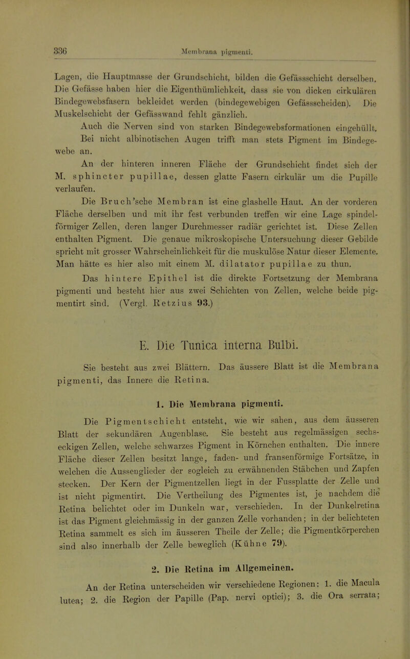 Membrana pigmenti. Lagen, die Hauptmasse der Grundschicht, bilden die Gefüssschicht derselben. Die Gefässe haben hier die Eigenthümlichkeit, dass sie von dicken cirkulären Bindegewebsfasern bekleidet werden (bindegewebigen Gefässscheiden). Die Muskelschicht der Gefässwand fehlt gänzlich. Auch die Nerven sind von starken Bindegewebsformationen eingehüllt. Bei nicht albinotischen Augen trifft man stets Pigment im Bindege- webe an. An der hinteren inneren Fläche der Grundschicht findet sich der M. sphincter pupillae, dessen glatte Fasern cirkulär um die Pupille verlaufen. Die Bruch'sehe Membran ist eine glashelle Haut. Ander vorderen Fläche derselben und mit ihr fest verbunden treffen wir eine Lage spindel- förmiger Zellen, deren langer Durchmesser radiär gerichtet ist. Diese Zellen enthalten Pigment. Die genaue mikroskopische Untersuchung dieser Gebilde spricht mit grosser Wahrscheinlichkeit für die muskulöse Natur dieser Elemente. Man hätte es hier also mit einem M. dilatator pupillae zu thun. Das hintere Epithel ist die direkte Fortsetzung der Membrana pigmenti und besteht hier aus zwei Schichten von Zellen, welche beide pig- mentirt sind, (Vergl. Ketzins 93.) 336 E. Die Tunica interna Biübi. Sie besteht aus zwei Blättern. Das äussere Blatt ist die Membrana pigmenti, das Innere die Retina. 1. Die Membrana pigmenti. Die Pigmentschicht entsteht, wie wir sahen, aus dem äusseren Blatt der sekundären Augenblase. Sie besteht aus regelmässigen sechs- eckigen Zellen, welche schwarzes Pigment in Körnchen enthalten. Die innere Fläche dieser Zellen besitzt lange, faden- und fransenförmige Fortsätze, in welchen die Aussenglieder der sogleich zu erwähnenden Stäbchen und Zapfen stecken. Der Kern der Pigmentzellen liegt in der Fussplatte der Zelle und ist nicht pigmentirt. Die Vertheilung des Pigmentes ist, je nachdem die Retina belichtet oder im Dunkeln war, verschieden. In der Dunkelretina ist das Pigment gleichmässig in der ganzen Zelle vorhanden; in der belichteten Retina sammelt es sich im äusseren Theile derZeUe; die Pigraentkörperchen sind also innerhalb der Zelle beweglich (Kühne 70). 2. Die Retina im Allgemeinen. An der Retina unterscheiden wir verschiedene Regionen: 1. die Macula lutea; 2. die Region der Papille (Pap. nervi optici); 3. die Ora serrata;