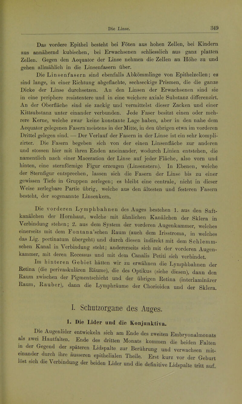 Das vordere Epithel besteht bei Föten aus hohen Zellen, bei Kindern aus annähernd kubischen, bei Erwachsenen schliesslich aus ganz platten Zellen. Gegen den Aequator der Linse nehmen die Zellen an Höhe zu und gehen allmählich in die Linsenfasern über. Die Linsenfasern sind ebenfalls Abkömmlinge von Epithelzellen; es sind lange, in einer Kichtung abgeflachte, sechseckige Prismen, die die ganze Dicke der Linse durchsetzen. An den Linsen der Erwachsenen sind sie in eine periphere resistentere und in eine weichere axiale Substanz differenzirt. An der Oberfläche sind sie zackig und vermittelst dieser Zacken und einer Kittsubstanz unter einander verbunden. Jede Faser besitzt einen oder meh- rere Kerne, welche zwar keine konstante Lage haben, aber in den nahe dem Aequator gelegenen Fasern meistens in der Mitte, iu den übrigen etwa im vorderen Drittel gelegen sind. — Der Verlauf der Fasern in der Linse ist ein sehr kompli- zirter. Die Fasern begeben sich von der einen Linsen fläche zur anderen und stossen hier mit ihren Enden aneinander, wodurch Linien entstehen, die namentlich nach einer Maceration der Linse auf jeder Fläche, also vorn und hinten, eine sternförmige Figur erzeugen (Linsenstern). In Ebenen, welche der Sternfigur entsprechen, lassen sich die Fasern der Linse bis zu einer gewissen Tiefe in Gruppen zerlegen; es bleibt eine centrale, nicht in dieser Weise zerlegbare Partie übrig, welche aus den ältesten und festeren Fasern besteht, der sogenannte Linsenkern. Die vorderen Lyraphbahnen des Auges bestehen 1. aus den Saft- kanälchen der Hornhaut, welche mit ähnlichen Kanälchen der Sklera in Verbindung stehen; 2. aus dem System der vorderen Augenkammer, welches einerseits mit dem Fontana'sehen Kaum (auch dem Irisstroma, in welches das Lig. pectinatum übergeht) und durch diesen indirekt mit dem Schlemm- schen Kanal in Verbindung steht; andererseits sich mit der vorderen Augen- kammer, mit deren Recessus und mit dem Canalis Petiti sich verbindet. Im hinteren Gebiet hätten wir zu erwähnen die Lymphbahnen der Retina (die perivaskulären Räume), die des Optikus (siehe diesen), dann den Raum zwischen der Pigmentschicht und der übrigen Retina (interlaminärer Raum, Rauber), dann die Lymphräume der Chorioidea und der Sklera. I. Scliutzorgane des Auges. 1. Die Lider und die Koiijuiiktiva. Die Augenlider entwickeln sich am Ende des zweiten Embryonalmonats als zwei Hautfalten. Ende des dritten Monats kommen die beiden Falten m der Gegend der späteren Lidspalte zur Berührung und verwachsen mit- emander durch ihre äusseren epithelialen Theile. Erst kurz vor der Geburt lost sich die Verbindung der beiden Lider und die definitive Lidspalte tritt auf