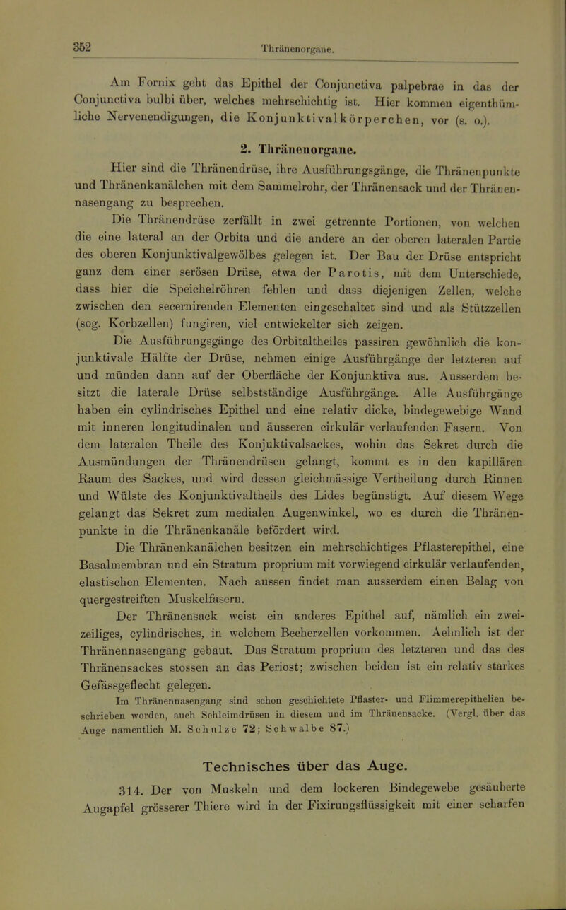 Thrünenorgaue. Am Fornix geht das Epithel der Conjunctiva palpebrae in das der Conjunetiva bulbi über, welches mehrschichtig ist. Hier kommen eigenthüm- liche Nervenendigungen, die Konjunktivalkörperchen, vor (s. o.). 2. Thräiieuorgune. Hier sind die Thränendrüse, ihre Ausführungsgänge, die Thränenpunkte und Thränenkanälchen mit dem Sammelrohr, der Thränensack und der Thräuen- nasengang zu besprechen. Die Thränendrüse zerfällt in zwei getrennte Portionen, von welclien die eine lateral an der Orbita und die andere an der oberen lateralen Partie des oberen Konjunktivalgewölbes gelegen ist. Der Bau der Drüse entspricht ganz dem einer serösen Drüse, etwa der Parotis, mit dem Unterschiede, dass hier die Speichelröhren fehlen und dass diejenigen Zellen, welche zwischen den secernirenden Elementen eingeschaltet sind und als Stützzellen (sog. Korbzellen) fungiren, viel entwickelter sich zeigen. Die Ausführungsgänge des Orbitaltheiles passiren gewöhnlich die kon- junktivale Hälfte der Drüse, nehmen einige Ausführgänge der letzteren auf und münden dann auf der Oberfläche der Konjunktiva aus. Ausserdem be- sitzt die laterale Drüse selbstständige Ausführgänge. Alle Ausführgänge haben ein cylindrisches Epithel und eine relativ dicke, bindegewebige Wand mit inneren longitudinalen und äusseren cirkulär verlaufenden Fasern. Von dem lateralen Theile des Konjuktivalsackes, wohin das Sekret durch die Ausmündungen der Thränendrüsen gelangt, kommt es in den kapillären Raum des Sackes, und wird dessen gleichmässige Vertheilung durch Rinnen und Wülste des Konjunktivaltheils des Lides begünstigt. Auf diesem Wege gelangt das Sekret zum medialen Augenwinkel, wo es durch die Thränen- punkte in die Thränenkanäle befördert wird. Die Thränenkanälchen besitzen ein mehrschichtiges Pflasterepithel, eine Basalmembran und ein Stratum proprium mit vorwiegend cirkulär verlaufenden^ elastischen Elementen. Nach aussen findet man ausserdem einen Belag von quergestreiften Muskelfasern. Der Thränensack weist ein anderes Epithel auf, nämlich ein zwei- zeiliges, cylindrisches, in welchem Becherzellen vorkommen. Aehnlich ist der Thränennasengang gebaut. Das Stratum proprium des letzteren und das des Thränensackes stossen an das Periost; zwischen beiden ist ein relativ starkes Gefässgeflecht gelegen. Im Thränennasengang sind schon geschichtete Pflaster- und Flimmerepithelien be- schrieben worden, auch Schleimdrüsen in diesem und im Thränensacke. (Vergl. über das Auge namentlich M. Schulze 12; Schwalbe 87.) Technisches über das Auge. 314. Der von Muskeln und dem lockeren Bindegewebe gesäuberte Augapfel grösserer Thiere wird in der Fixirungsfiüssigkeit mit einer scharfen