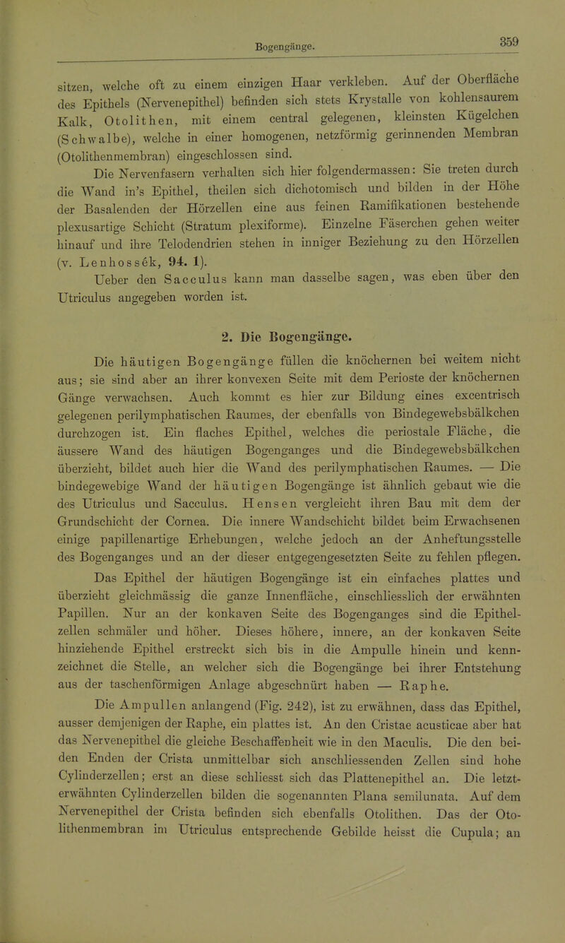 Bogengänge. sitzen, welche oft zu einem einzigen Haar verkleben. Auf der Oberfläche des Epithels (Nervenepithel) befinden sich stets Krystalle von kohlensaurem Kalk, Otolithen, mit einem cenü'al gelegenen, kleinsten Kügelchen (Schwalbe), welche in einer homogenen, netzförmig gerinnenden Membran (Otolithenmembran) eingeschlossen sind. Die Nervenfasern verhalten sich hier folgendermassen: Sie treten durch die Wand in's Epithel, theilen sich dichotomisch und bilden in der Höhe der Basalenden der Hörzellen eine aus feinen Ramifikationen bestehende plexusartige Schicht (Stratum plexiforme). Einzelne Fäserchen gehen weiter hinauf und ihre Telodendrien stehen in inniger Beziehung zu den Hörzellen (v. Lenhossek, 94. 1). Ueber den Sacculus kann man dasselbe sagen, was eben über den Utriculus augegeben worden ist. 2. Die Bogengänge. Die häutigen Bogengänge füllen die knöchernen bei weitem nicht aus; sie sind aber an ihrer konvexen Seite mit dem Perioste der knöchernen Gänge verwachsen. Auch kommt es hier zur Bildung eines excentrisch gelegenen perilymphatischen Raumes, der ebenfalls von Bindegewebsbälkchen durchzogen ist. Ein flaches Epithel, welches die periostale Fläche, die äussere Wand des häutigen Bogenganges und die Bindegewebsbälkchen überzieht, bildet auch hier die Wand des perilymphatischen Raumes. — Die bindegewebige Wand der häutigen Bogengänge ist ähnlich gebaut wie die des Utriculus und Sacculus. Hensen vergleicht ihren Bau mit dem der Grundschicht der Cornea. Die innere Wandschicht bildet beim Erwachsenen einige papillenartige Erhebungen, welche jedoch an der Anheftungsstelle des Bogenganges und an der dieser entgegengesetzten Seite zu fehlen pflegen. Das Epithel der häutigen Bogengänge ist ein einfaches plattes und überzieht gleichmässig die ganze Innenfläche, einschliesslich der erwähnten Papillen. Nur an der konkaven Seite des Bogenganges sind die Epithel- zellen schmäler und höher. Dieses höhere, innere, an der konkaven Seite hinziehende Epithel erstreckt sich bis in die Ampulle hinein und kenn- zeichnet die Stelle, an welcher sich die Bogengänge bei ihrer Entstehung aus der taschenförmigen Anlage abgeschnürt haben — Raphe. Die Ampullen anlangend (Fig. 242), ist zu erwähnen, dass das Epithel, ausser demjenigen der Raphe, ein plattes ist. An den Cristae acusticae aber hat das Nervenepithel die gleiche Beschafienheit wie in den Maculis. Die den bei- den Enden der Crista unmittelbar sich anschliessenden Zellen sind hohe Cylinderzellen; erst an diese schliesst sich das Platten epithel an. Die letzt- erwähnten Cylinderzellen bilden die sogenannten Plana semilunata. Auf dem Nervenepithel der Crista befinden sich ebenfalls Otolithen. Das der Oto- lithenmembran im Utriculus entsprechende Gebilde heisst die Cupula; an