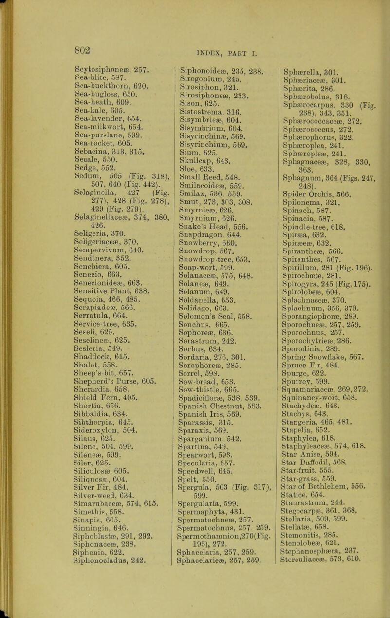 INDEX, PART I, Scytosiphoneas, 257. Sea-blite, 587. Sea-buckthorn, (520. Sea-bngloss, 050. Sea-heath, 609. Sea-kale, 605. Sea-lavender, 654. Sea-milkwort, 654. Sea-puri-lane, 599. Sea-rocket, 605. Sebacina, 3i3, 315. Secale, 550. Sedge, 552. Sedum, 505 (Fig. 318), 507, 640 (Fig. 442). Selaginella, 427 (Fig. 277), 428 (Fig. 278), 429 (Fig. 279). Selaginellacete, 374, 380, 426. Seligeria, 370. Seligeriaceas, 370. Sempervivum, 640. Seudtnera, 352. Senebiera, 605. Senecio, 663. Senecionidere, 663. Sensitive Plant, 638. Sequoia, 466, 485. Serapiadeas, 560. Serratula, 664. Service-tree, 635. Seseli, 625. Seselinete, 625. Sesleria, 549. Shaddock, 615. Shalot, 558. Sheep's-bit, 657. Shepherd's Purse, 605. Sherardia, 658. Shield Fern, 405. Shortia, 650. Sibbaldia, 034. Sibthorpia, 045. Sideroxylon, 504. Silaus, 025. Silene, 504, 599. Silenea3, 599. Siler, 025. SiliculosfE, 605. Siliquosa3, 604. Silver Fir, 484. Silver-weed, 634. Simarubaceea, 574, 615. Simetbip, 558. Sinapis, 605. Sinningia, 646. Siphoblastm, 291, 292. Siphonacese, 238. Siphonia, 622. Siphouocladus, 242. Siphonoidete, 235, 238. Sirogonium, 245. Sirosiphon, 321. SirosiphontBB, 233. Sison, 625. Sistostrema, 316. Sisymbriese, 004. Sisymbrium, 604. Sisyrinchinae, 509. Sisyrinchium, 569. Slum, 625. Skullcap, 643. Sloe, 633. Small Eeed, 548. Smilacoidete, 559. Smilax, 530, 559. Smut, 273, 303, 308. Smyrnieee, 626. Smyrnium, 626. Snake's Head, 556. Snapdragon. 644. Snowberry, 060. Snowdrop, 507. Snowdrop-tree, 053. Soap-wort, 599. SolanacesB, 575, 648. Solanese, 649. Solanum, 649. Soldanella, 653. Solidago, 663. Solomon's Seal, 558. Sonchus, 665. SophoresB, 636. Sorastrum, 242. Sorbus, 634. Sordaria, 276, 301. Sorophorese, 285. Sorrel, 598. Sow-bread, 653. Sow-tbistle, 665. Spadiciflorse, 538, 539. Spanish Chestnut, 583. Spanish Iris, 569. Sparassis, 315. Sparaxis, 569. Sparganium, 542. Spartina, 549. Spearwort, 593. Specularia, 657. Speedwell, 645. Spelt, 550. Spergnla, 503 (Fig. 317), 599. Spergularia, 599. Spermaphyta, 431. Spermatocbneas, 257. Spermatocbnua, 257. 259. Spermothamniou,270(Fig. 195), 272. Sphacelaria, 257. 259. Sphacelarieoa, 257, 259. Sphajrella, 301. Sphffiriaceffi, 301. Spbajrita, 286. Spbajrobolus, 818. Spbaerocarpus, 330 (Fig. 238), 343, 351. Spbasrococcacese, 272. Sphasrococcus, 272. Spbeerophorup, 322. Sphaeroplea, 241. Sphffiroplece, 241. Sphagnacese, 328, 330, 363. Sphagnum, 364 (Figs. 247, 248). Spider Orchis, 566. Spilonema, 321. Spinach, 587. Spinacia, 587. Spindle-tree, 618. Spirtea, 632. Spirteeae, 632. Spiranthese, 566. Spiranthes, 567. Spirillum, 281 (Fig. 196). Spirocbaete, 281. Spirogyra, 245 (Fig. 175). Spirolobese, 604. Splaclmaceffi. 370. Splacbuum, 350, 370. Sporangiophoree, 289. Sporochneae, 257, 259. Sporochnus, 257. Sporocbytrieae, 286. Sporodinia, 289. Spring Snowflake, 567. Spruce Fir, 484. Spurge, 622. Spurrey, 599. Squaniariaceae, 209,272. Squinancy-woH, 058. Stachydeas, 043. Stach.TS, 043. Stangeria, 405, 481. Stapelia, 052. Staphylea, 018. Staphyleaceas, 574, 018. Star Anise, 594. Star Daffodil, 568. Star-fruit, 555. Star-grass, 659. Star of Bethlehem, 556. Statice, 654. Staurastrum, 244. Stegocarpas, 361, 368. Stellaria, 509, 599. StellatoB, 058. Stemonitis, 285. Stenolobeffi, 021. Stephanosphn3ra, 237. Stercuhaceffi, 573, 610.